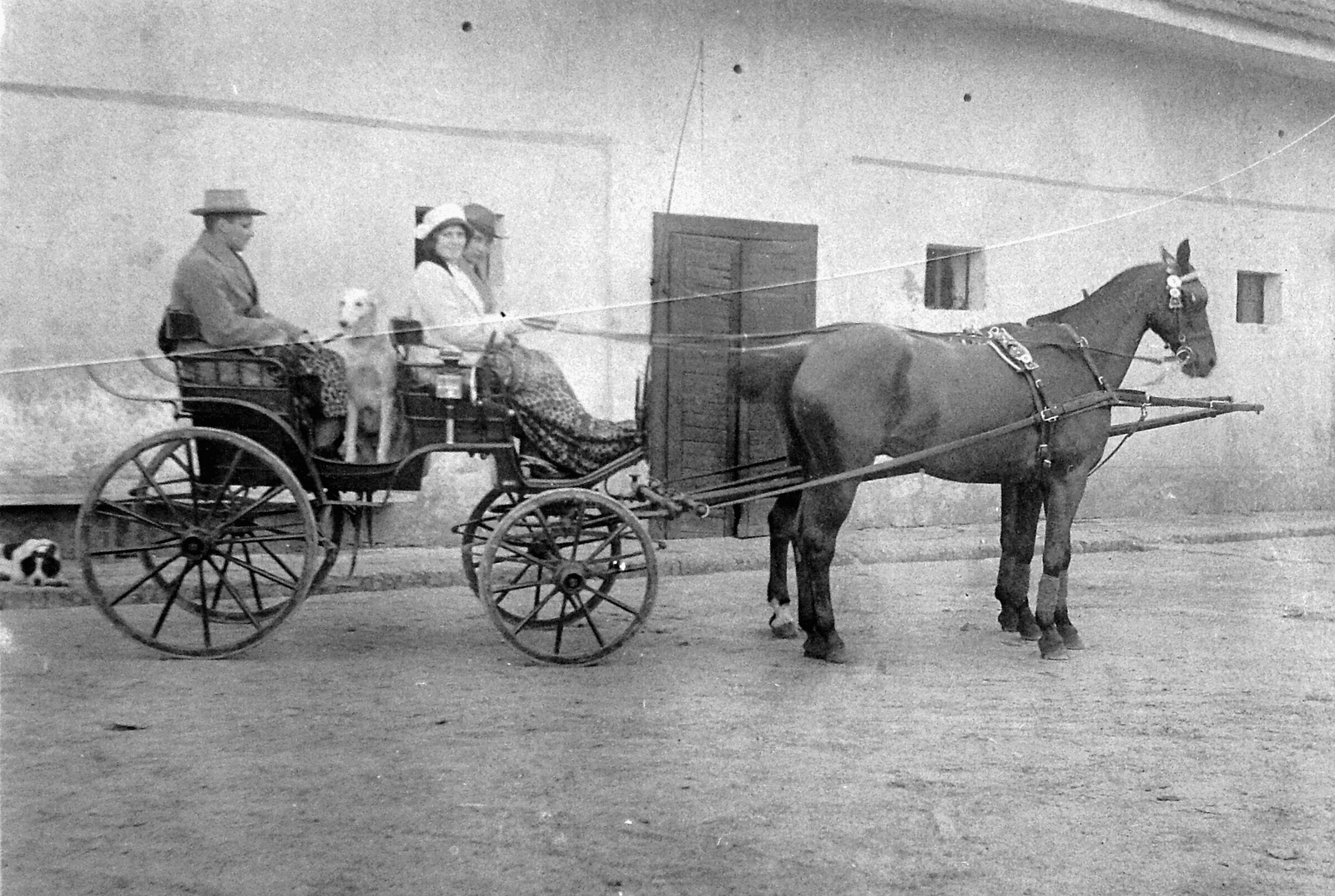 1921, Fortepan, dog, yard, carriage, men, Horse-drawn carriage, coach, woman, greyhound, Fortepan #6342