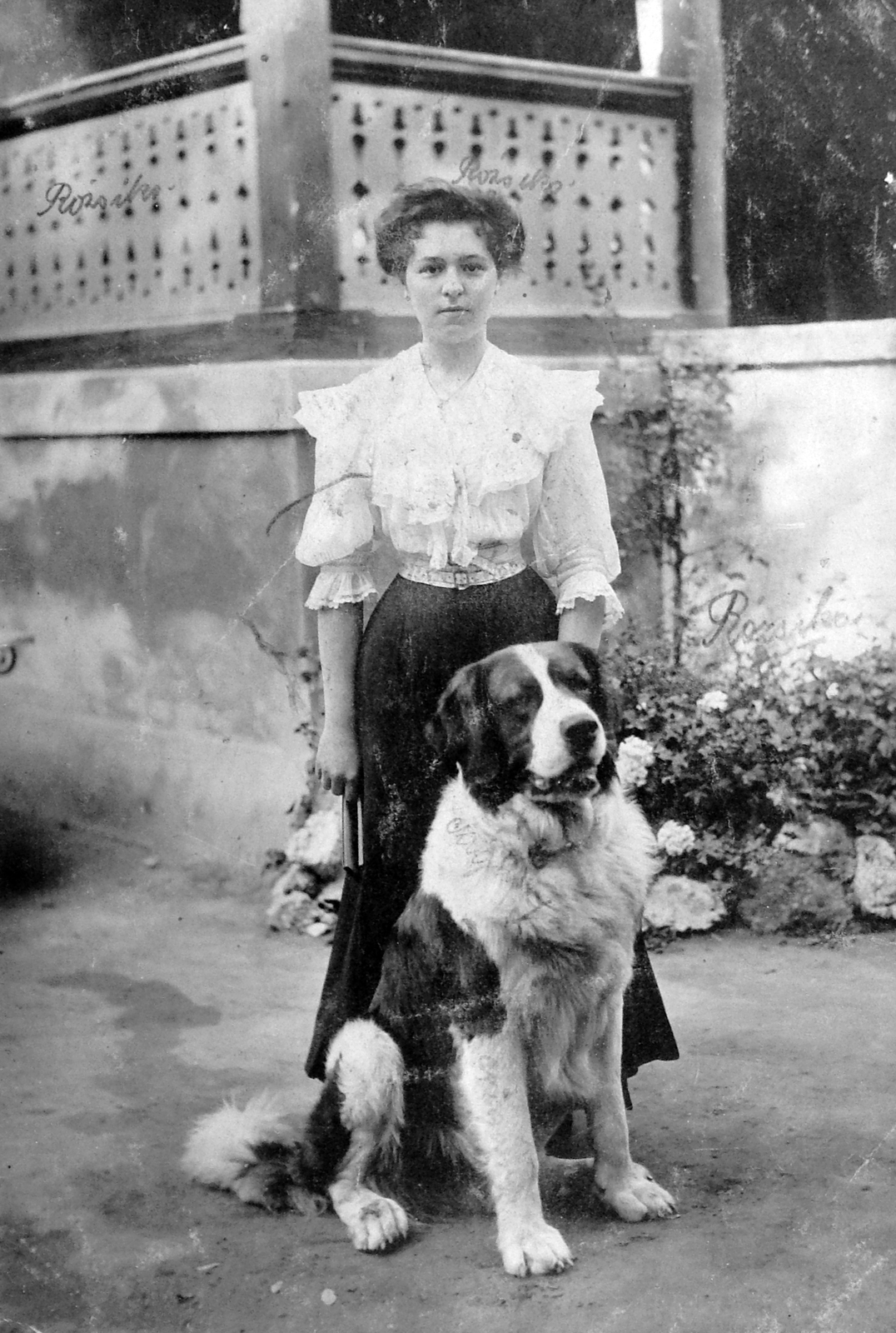 1916, Fortepan, dog, garden, terrace, summer, woman, Saint Bernard dog, Fortepan #6471