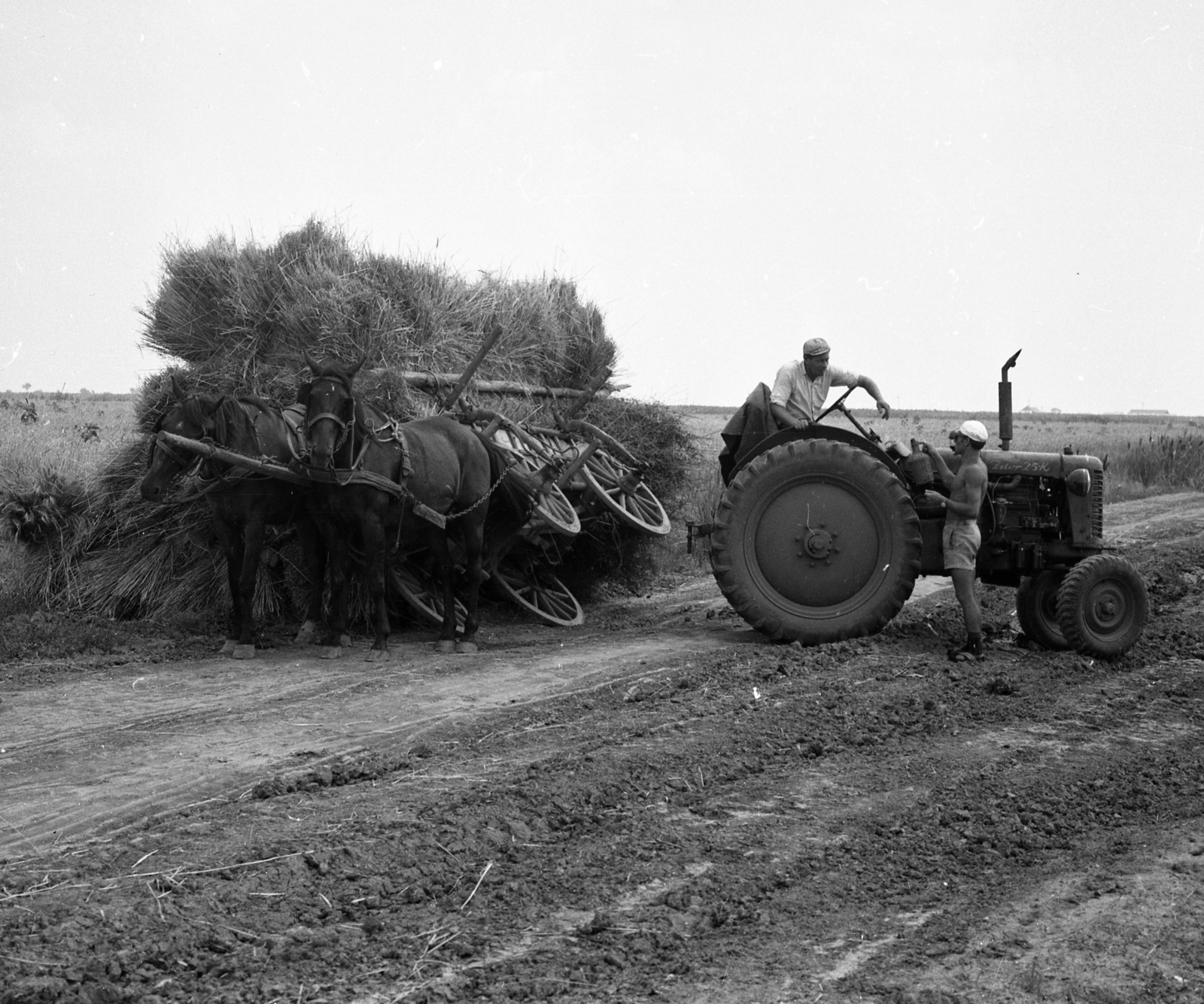 Magyarország, 1964, Magyar Rendőr, baleset, szekér, lovaskocsi, traktor, szalma, Fortepan #65066