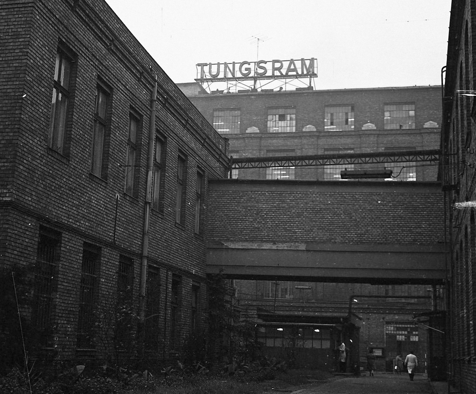 Hungary, Budapest IV., Váci út 77., Tungsram., 1965, Magyar Rendőr, neon sign, Budapest, Fortepan #65233