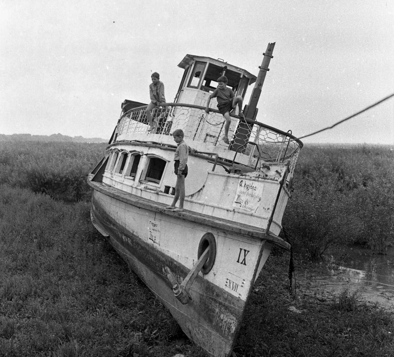 Hungary, Vác, Duna-part, a leselejtezett IX. (9) számú csavargőzös., 1966, Magyar Rendőr, ship, wreck, steamboat, Ship No9, Best of, Fortepan #65372
