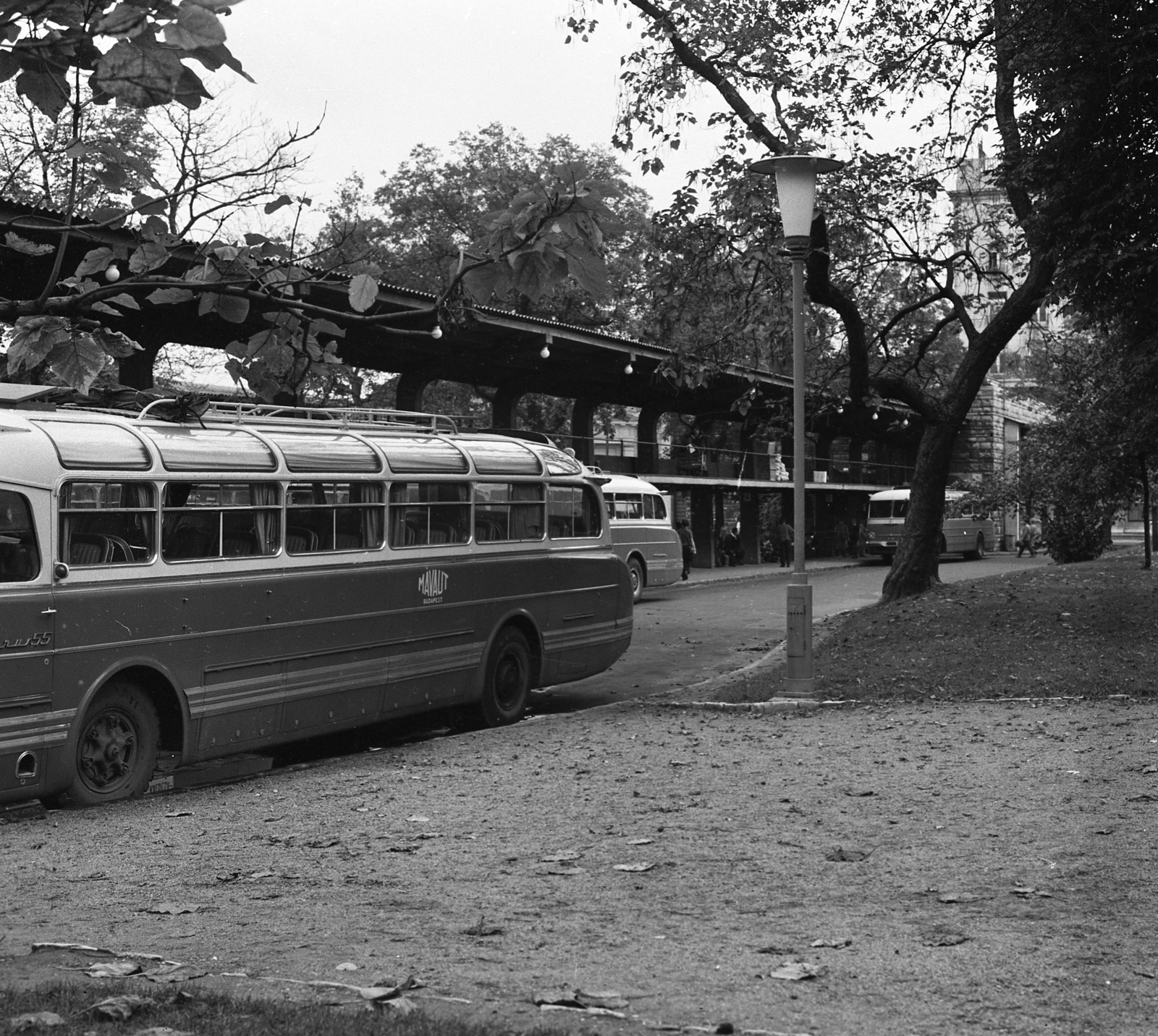 Hungary, Budapest V., Erzsébet (Engels) tér, MÁVAUT autóbusz-pályaudvar., 1966, Magyar Rendőr, bus, Ikarus-brand, MÁVAUT-organisation, lamp post, neon lights, bus terminal, Budapest, roof rack, István Nyiri-design, Fortepan #65447
