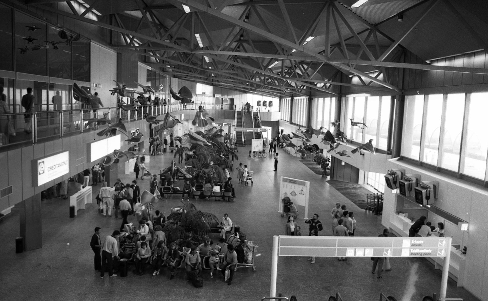 Magyarország, Ferihegyi (ma Liszt Ferenc) repülőtér, Budapest XVIII., 2-es terminál., 1986, Magyar Rendőr, közlekedés, repülés, utazás, repülőtér, mozgólépcső, Budapest, Fortepan #67162