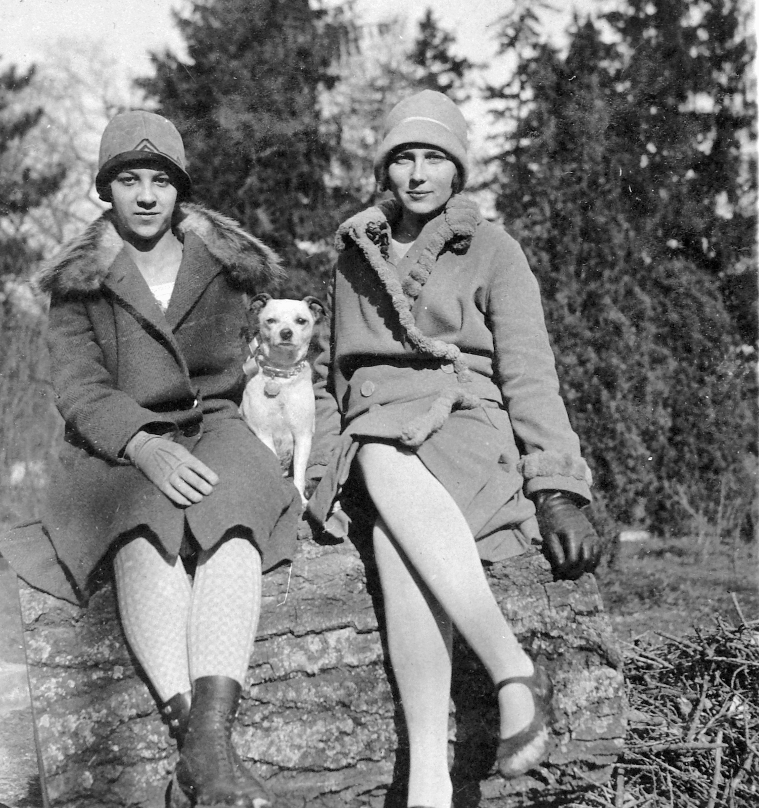 1930, Fortepan, dog, double portrait, Fortepan #6809