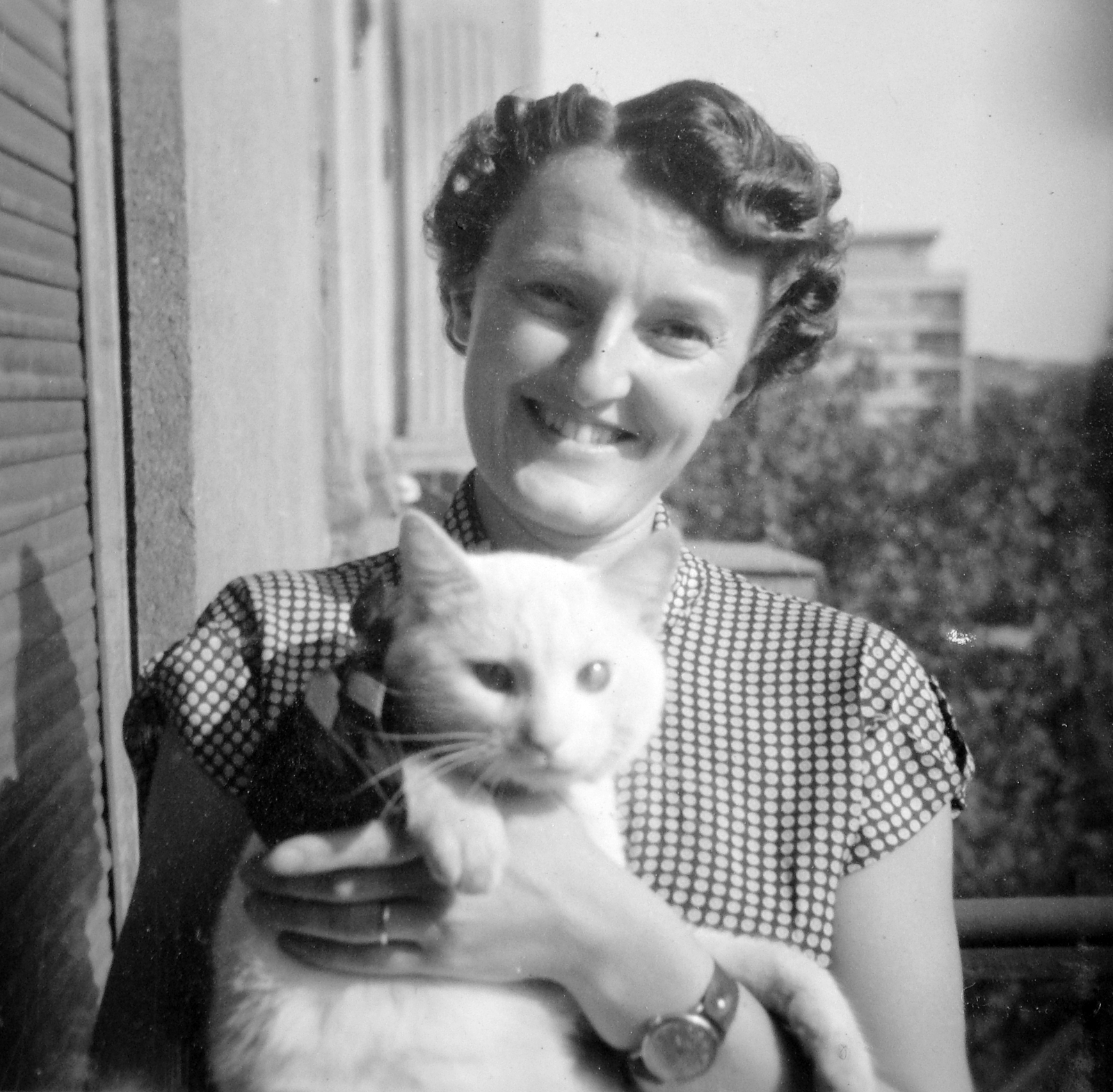 Hungary, Budapest XIII., Bulcsú utca 25/a IV. emelet, háttérben a Bulcsú utca 18-20 számú épülete, az "Élmunkás házak" egyike., 1952, Gyöngyi, portrait, cat, wrist watch, Budapest, Fortepan #6914