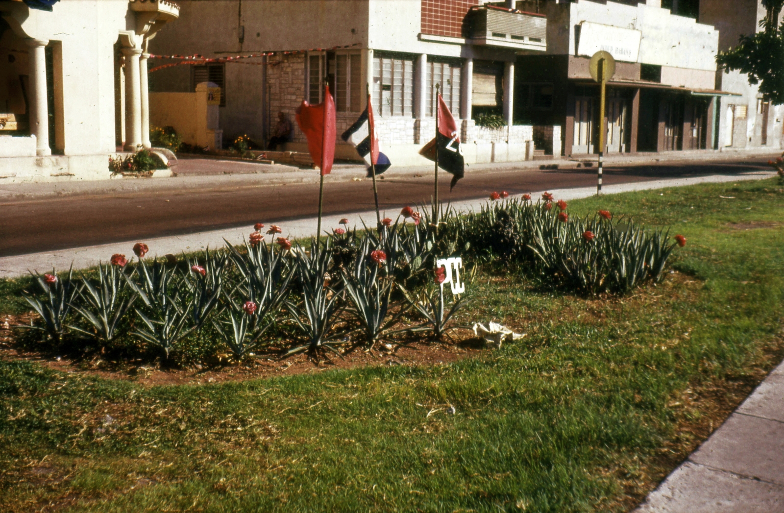 Cuba, Havana, 1974, Mészáros Zoltán, colorful, flag, street view, flower, Fortepan #69767