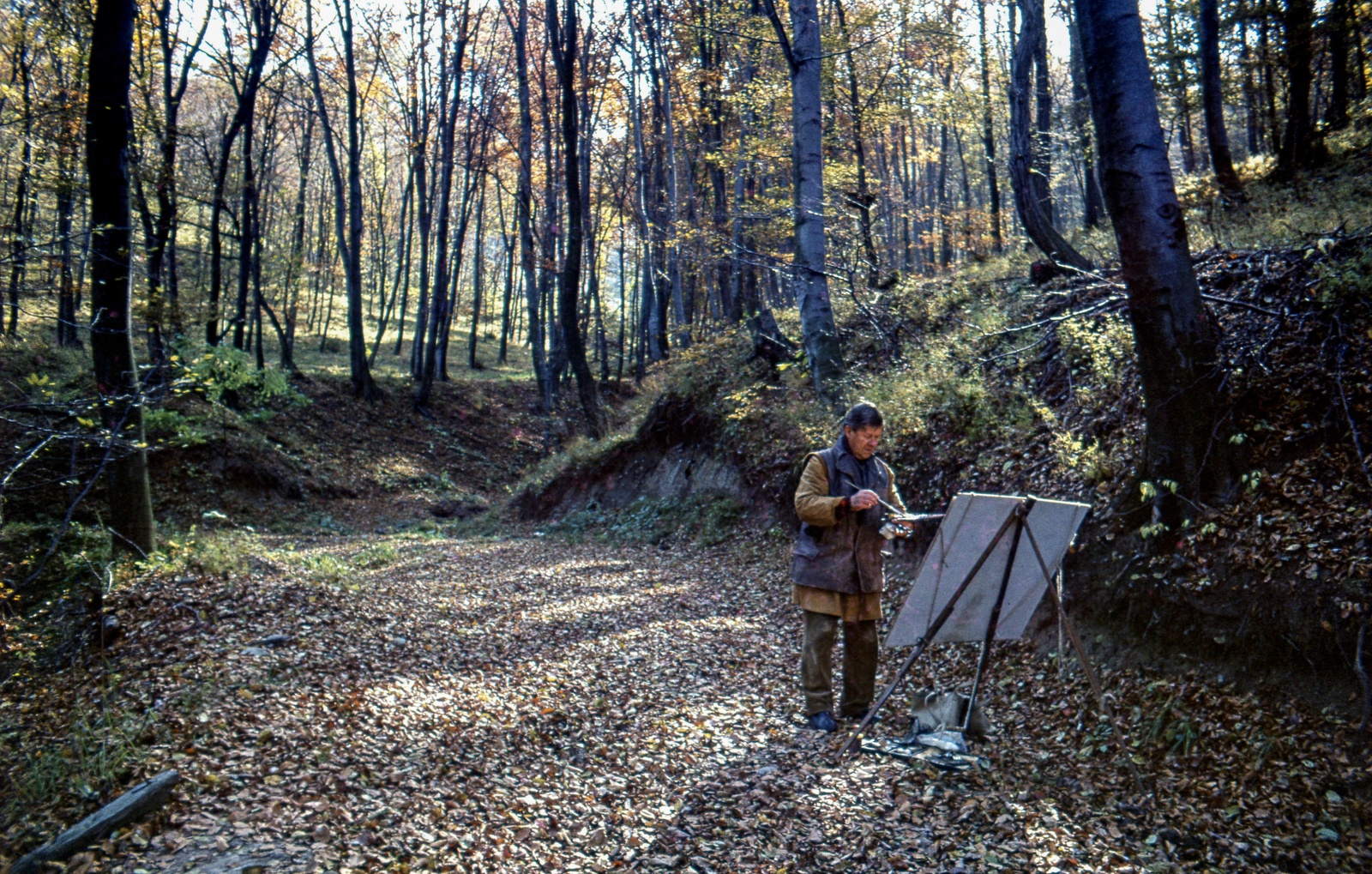 1963, Zsanda Zsolt, Vajszada Károly, woods, colorful, autumn, easel, man, painting, painter, Fortepan #70012