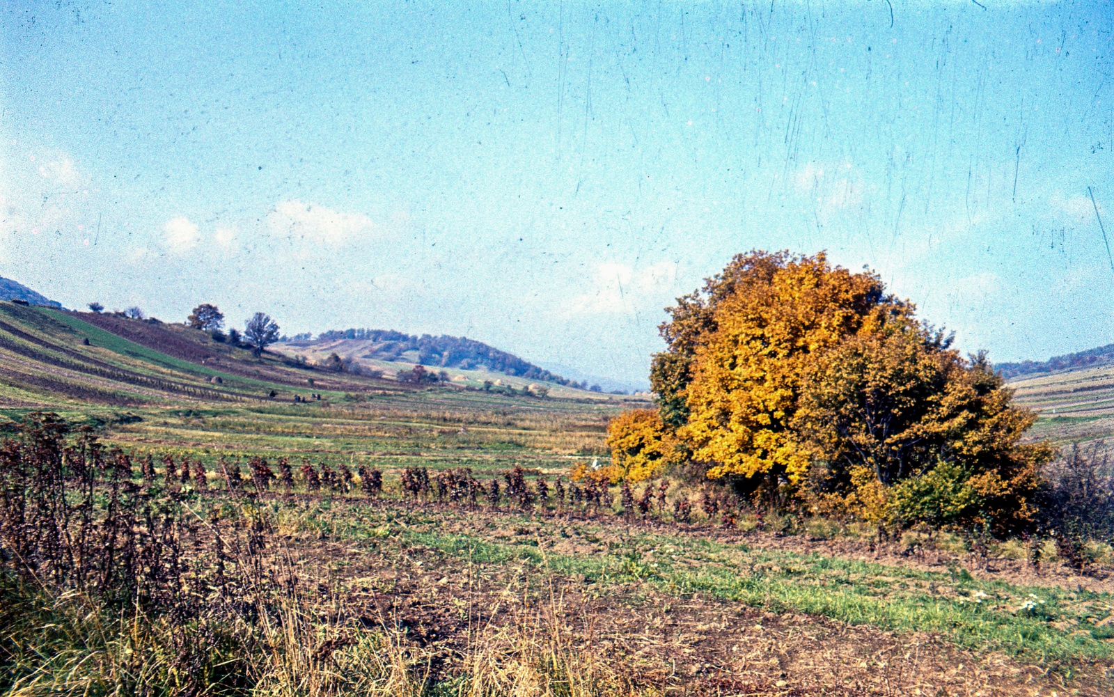 Hungary, Pilisszentlászló, látkép a falu északi határából nyugat felé, 1963, Zsanda Zsolt, Vajszada Károly, colorful, autumn, landscape, wood, picture, village, Fortepan #70015