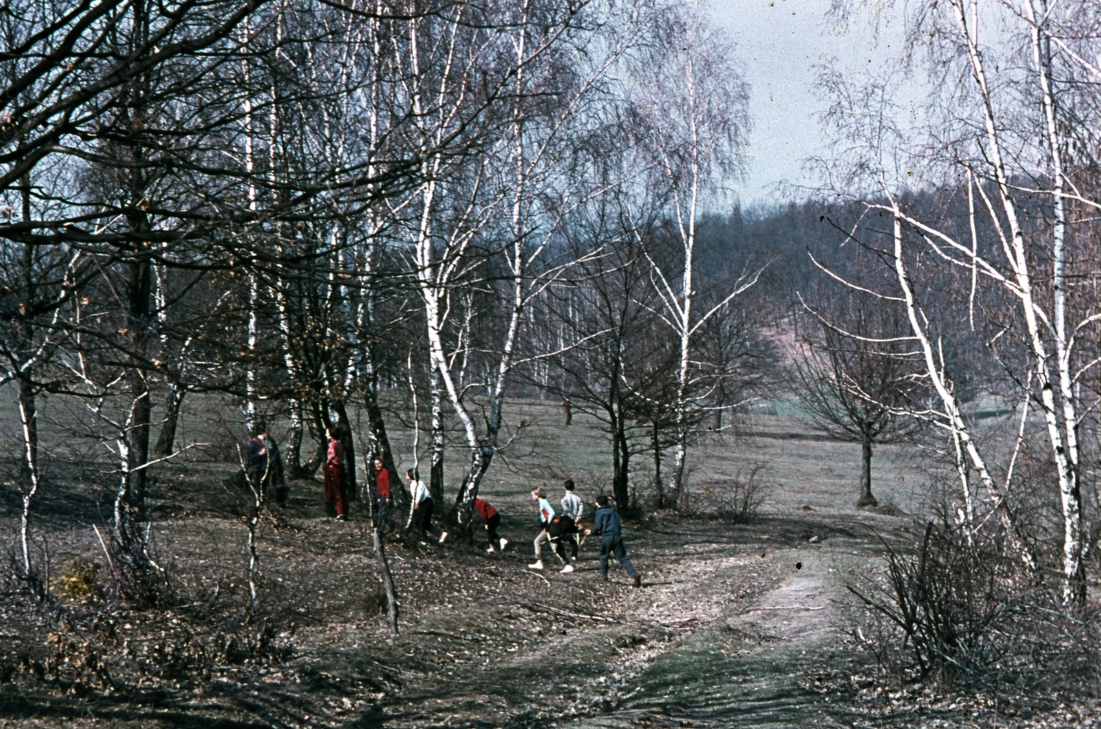 1967, Zsanda Zsolt, Vajszada Károly, színes, Fortepan #70025