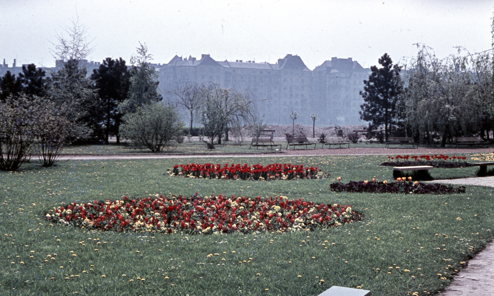 Magyarország, Margitsziget, Budapest, háttérben az Újpesti rakpart épületei., 1968, Zsanda Zsolt, Vajszada Károly, színes, Fortepan #70043