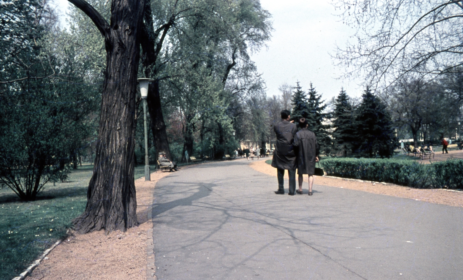 Magyarország, Margitsziget, Budapest, 1968, Zsanda Zsolt, Vajszada Károly, színes, Fortepan #70044