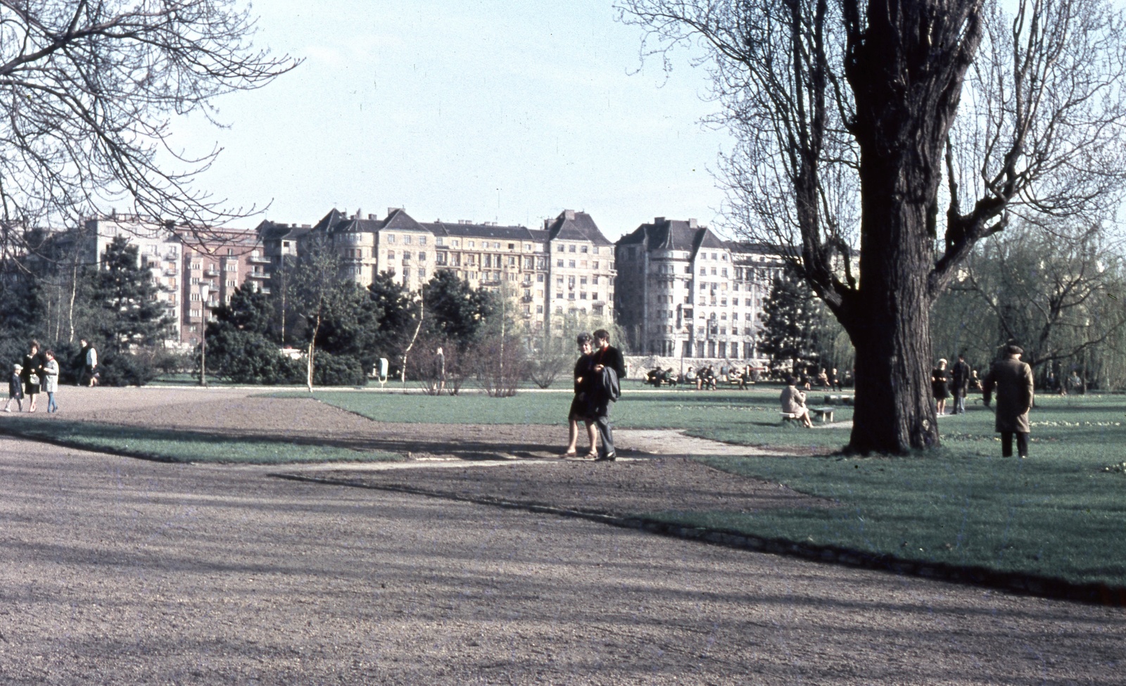 Magyarország, Margitsziget, Budapest, háttérben az Újpesti rakpart épületei., 1971, Zsanda Zsolt, Vajszada Károly, színes, Fortepan #70047