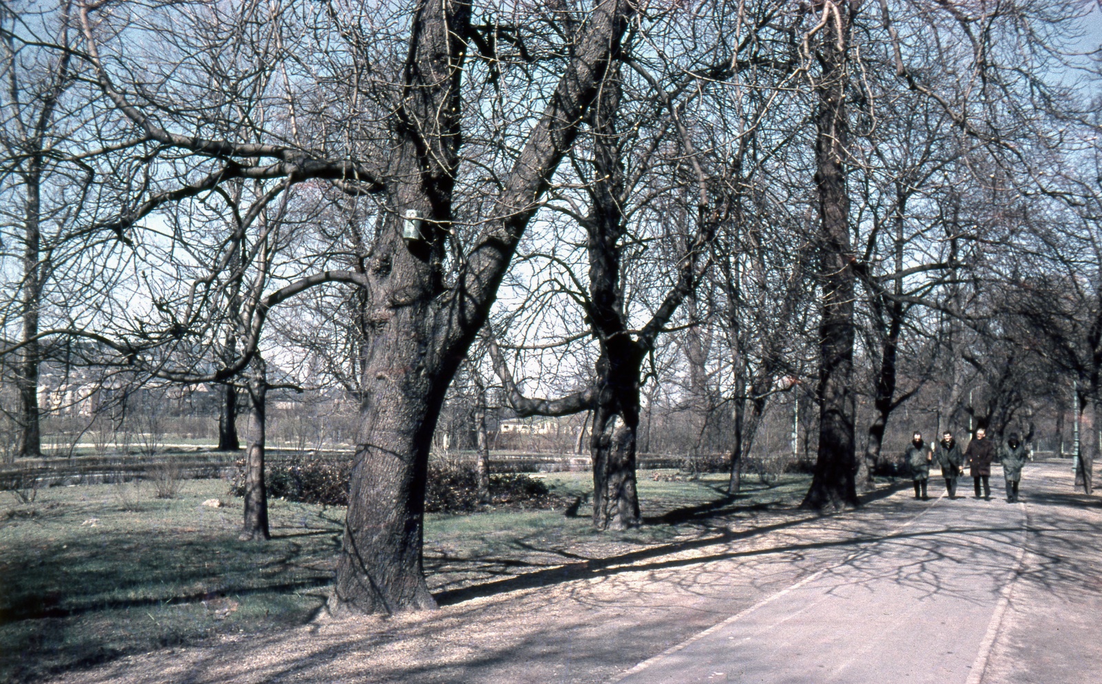 Magyarország, Margitsziget, Budapest, 1971, Zsanda Zsolt, Vajszada Károly, színes, Fortepan #70052