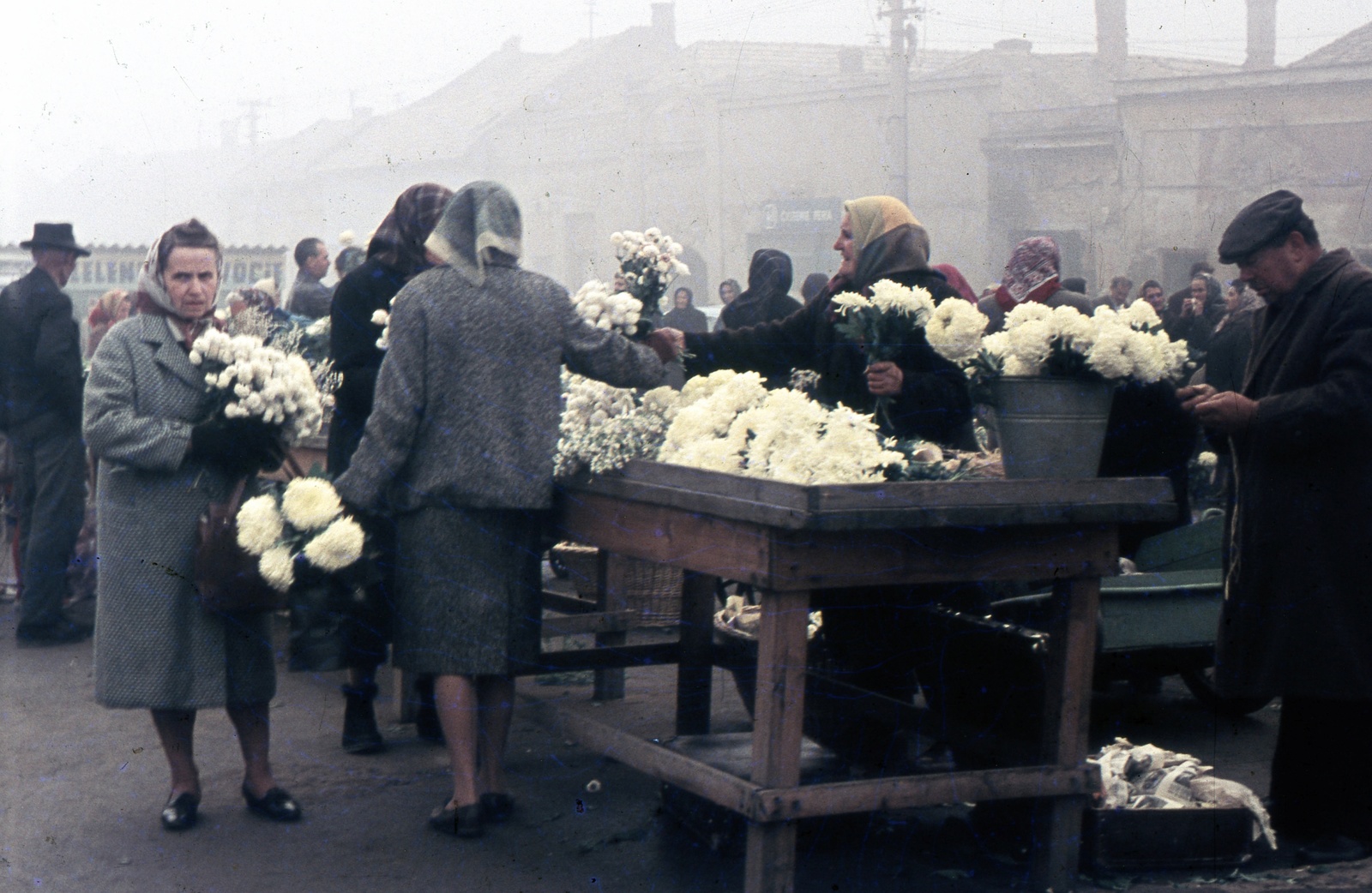 Slovakia, Lučenec, ulica Adyho - ulica Vajanského sarok, virágpiac., 1966, Zsanda Zsolt, Vajszada Károly, Czechoslovakia, colorful, flower, florist, fog, frog, Fortepan #70061