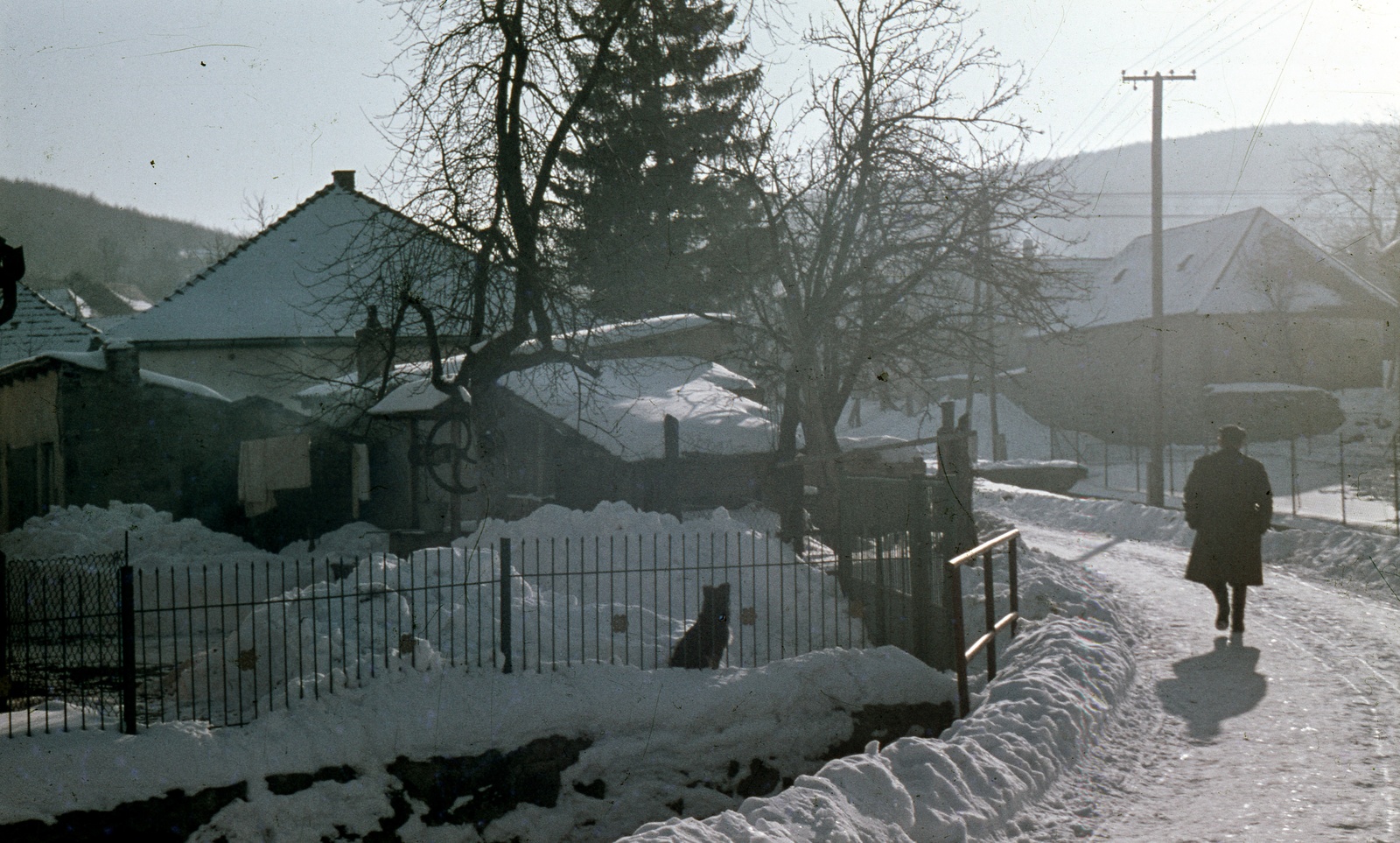 Magyarország, Pilisszentlászló, 1967, Zsanda Zsolt, Vajszada Károly, színes, Fortepan #70085