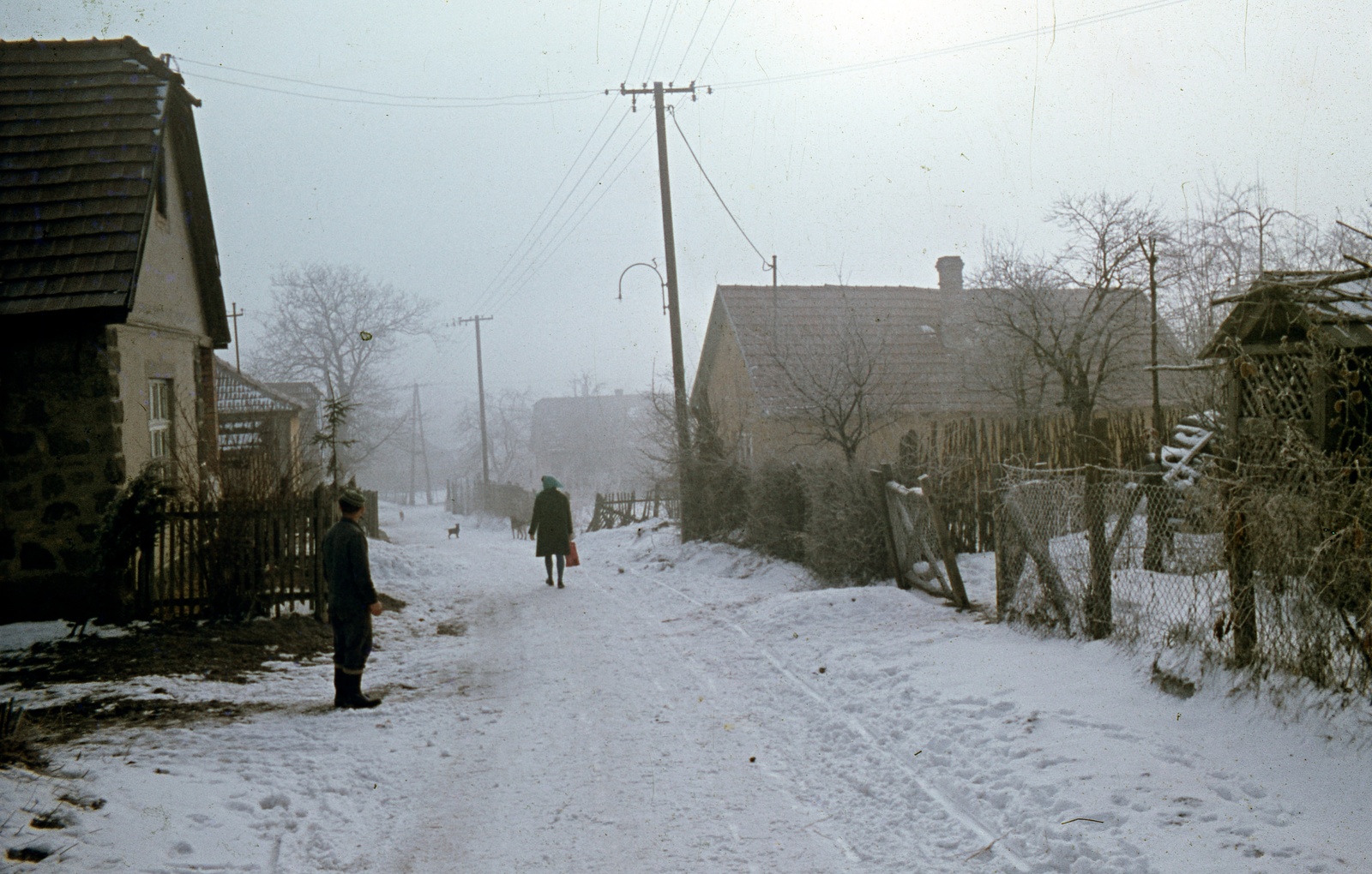 Hungary, Pilisszentlászló, Petőfi utca., 1967, Zsanda Zsolt, Vajszada Károly, colorful, Fortepan #70089