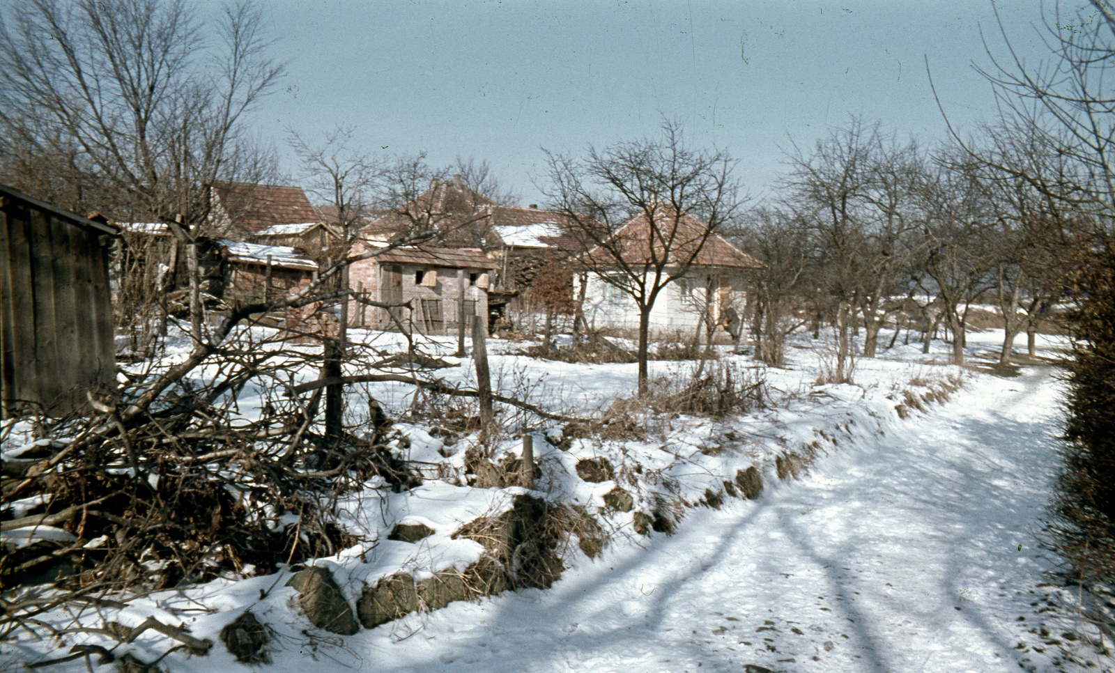 Hungary, Pilisszentlászló, Petőfi utca., 1967, Zsanda Zsolt, Vajszada Károly, colorful, Fortepan #70092