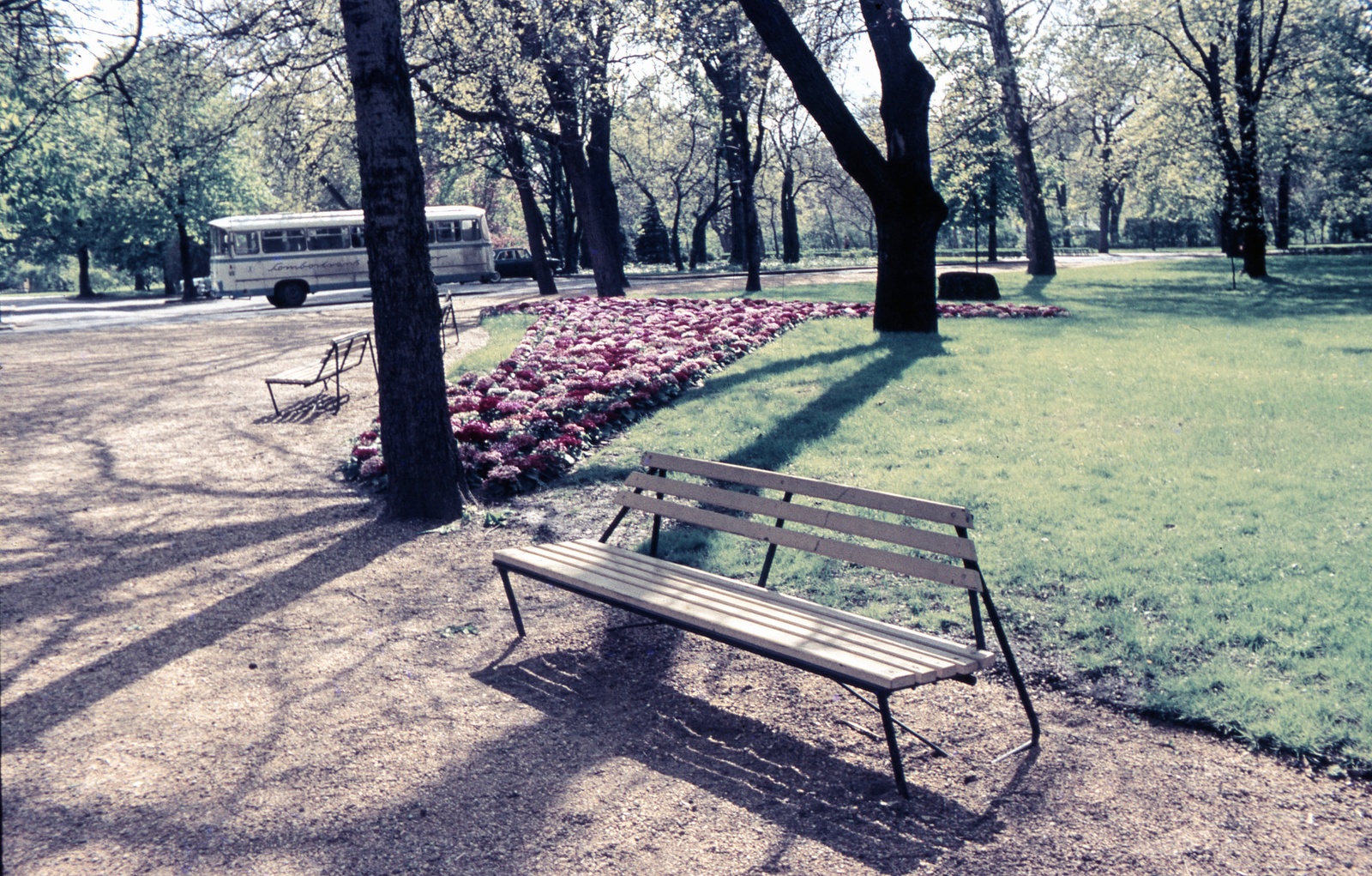 Hungary, Margit Islands, Budapest, 1968, Zsanda Zsolt, Vajszada Károly, colorful, bus, flower, bench, Fortepan #70125