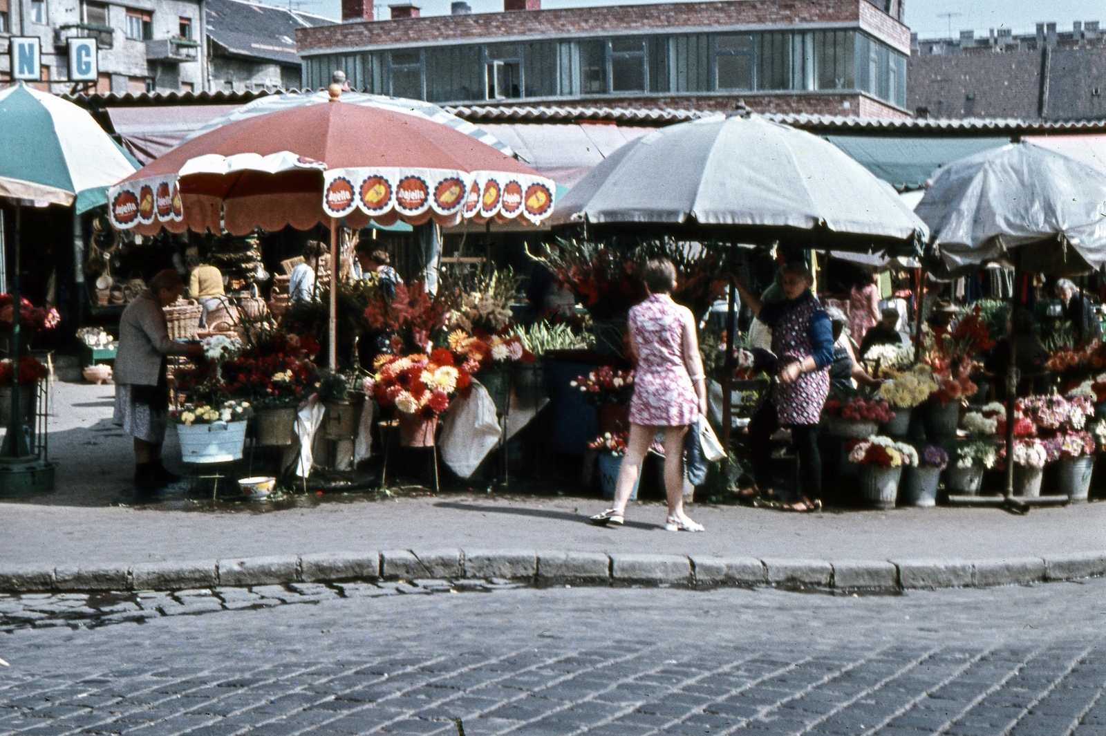 Hungary, Budapest II., Fény utcai piac, virágárusok a Retek utcai oldalon., 1969, Zsanda Zsolt, Vajszada Károly, colorful, sunshades, florist, Budapest, Fortepan #70157