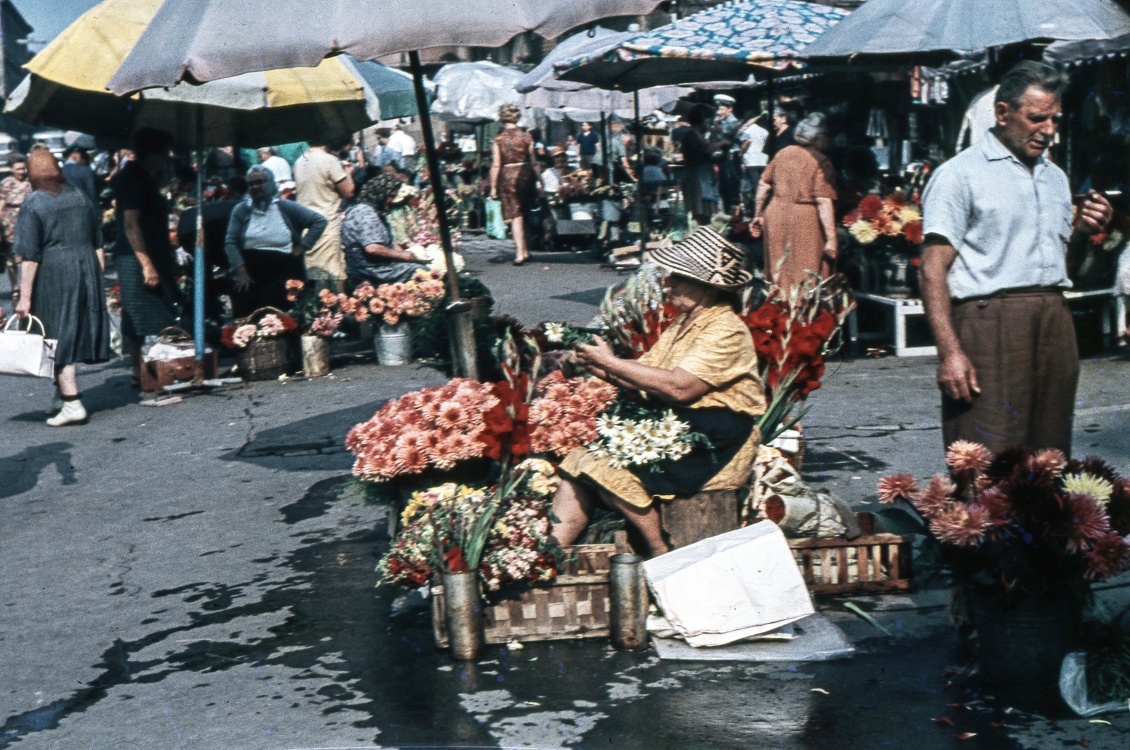 Hungary, Budapest II., Fény utcai piac, virágárusok a Retek utcai oldalon., 1969, Zsanda Zsolt, Vajszada Károly, colorful, sunshades, florist, Budapest, Fortepan #70158