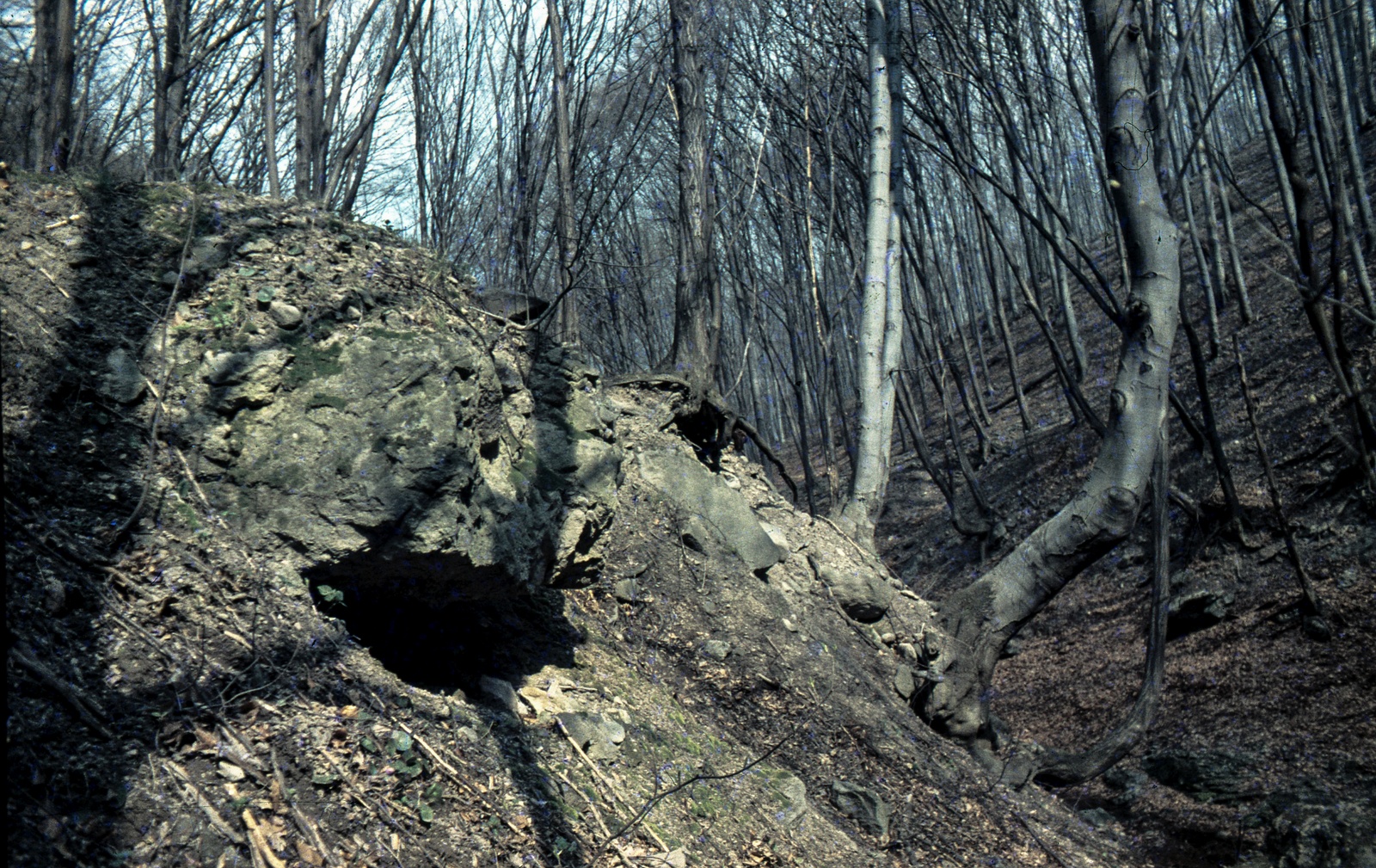 Hungary, Szent László-völgy Pilisszentlászlótól északra., 1969, Zsanda Zsolt, Vajszada Károly, colorful, Fortepan #70169