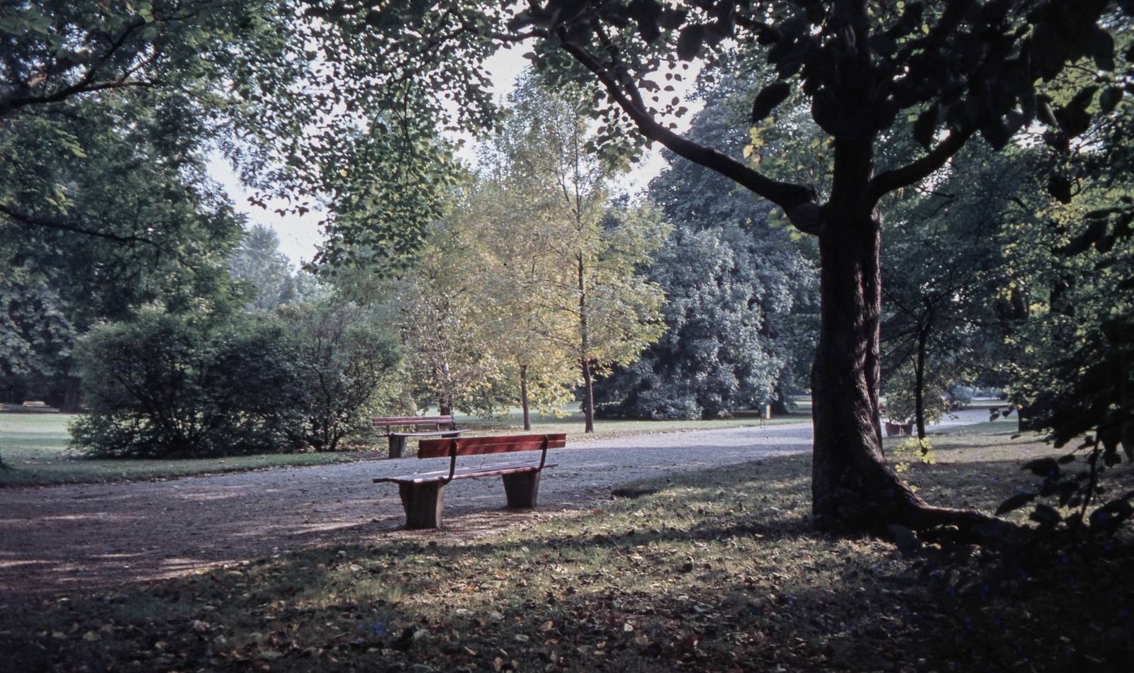 Hungary, Margit Islands, Budapest, 1967, Zsanda Zsolt, Vajszada Károly, colorful, Fortepan #70227