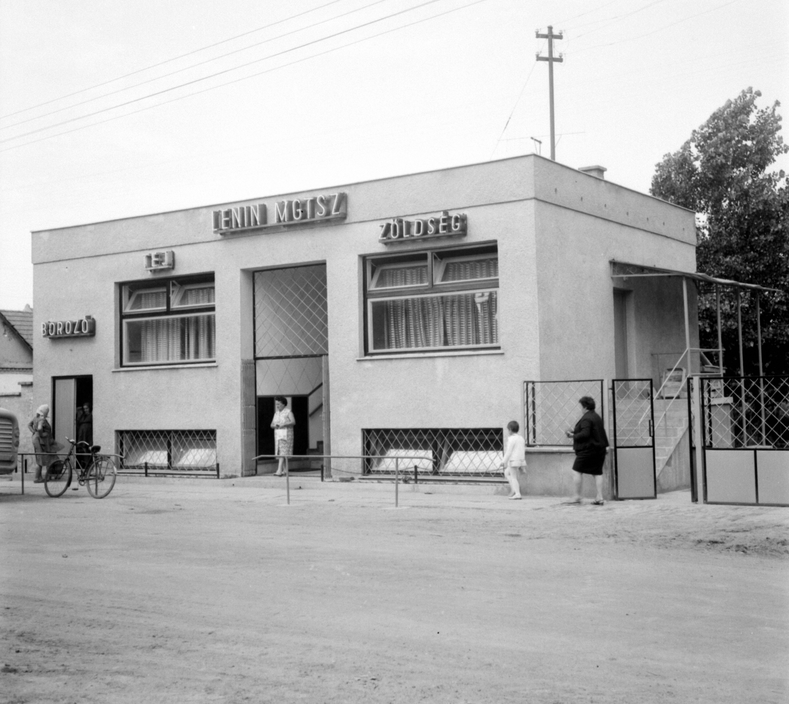 Hungary, Harta, Bajcs-Zsilinszky utca, a Lenin Mgtsz borozója, valamint tej és zöldség boltja., 1975, Jáki László, store display, dairy, greengrocer, Fortepan #70388