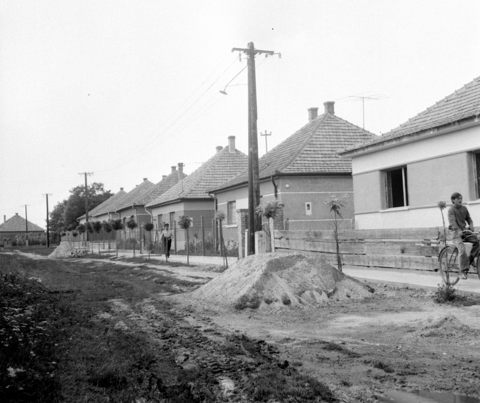 Hungary, Szabadszállás, Prielle Kornélia utca a Könyves Kálmán utca felé nézve., 1975, Jáki László, street view, Kádár-cube, sapling, locust tree, Fortepan #70401