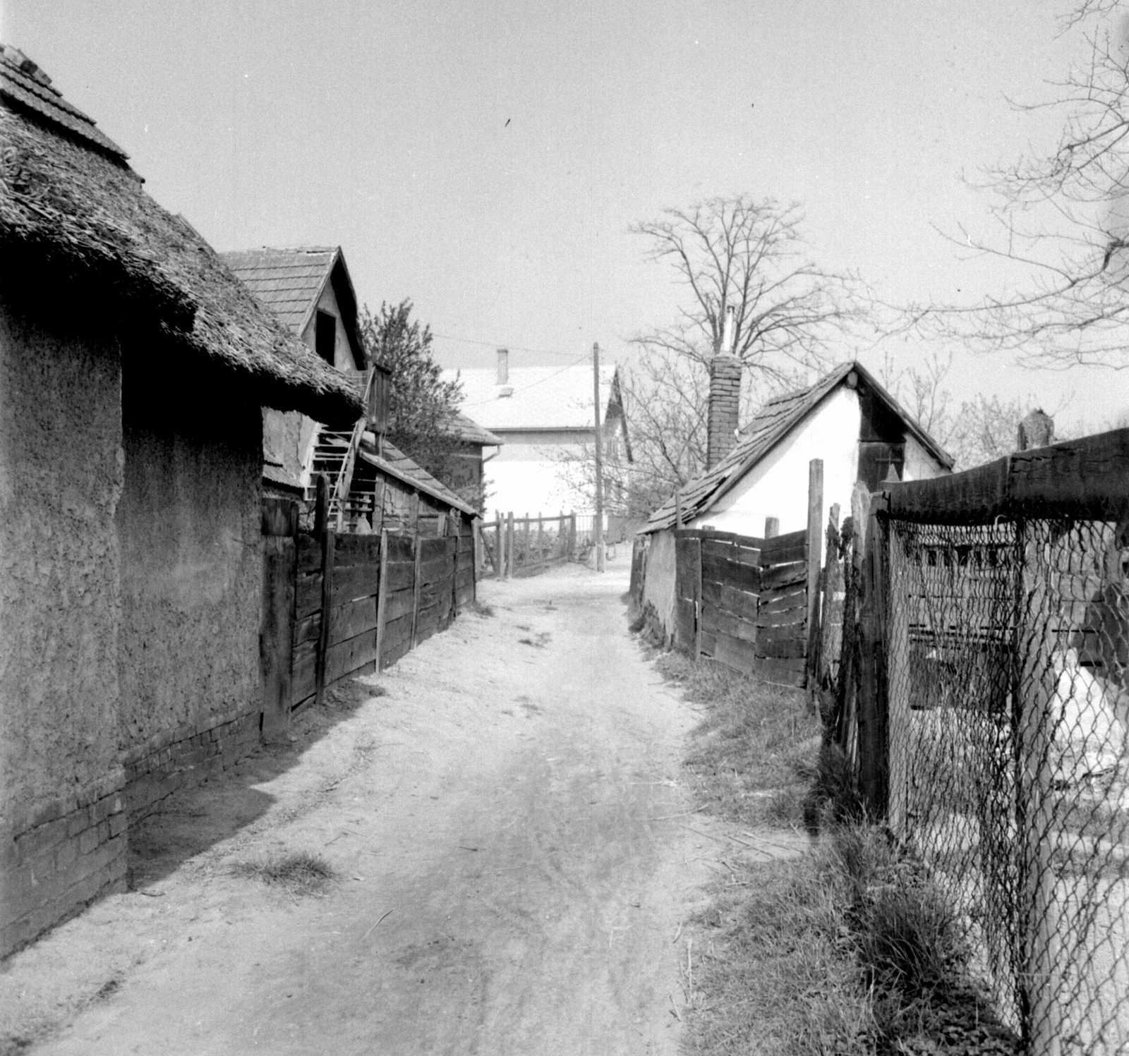Hungary, Dunavecse, Nyár utca., 1975, Jáki László, dirt road, Fortepan #70404
