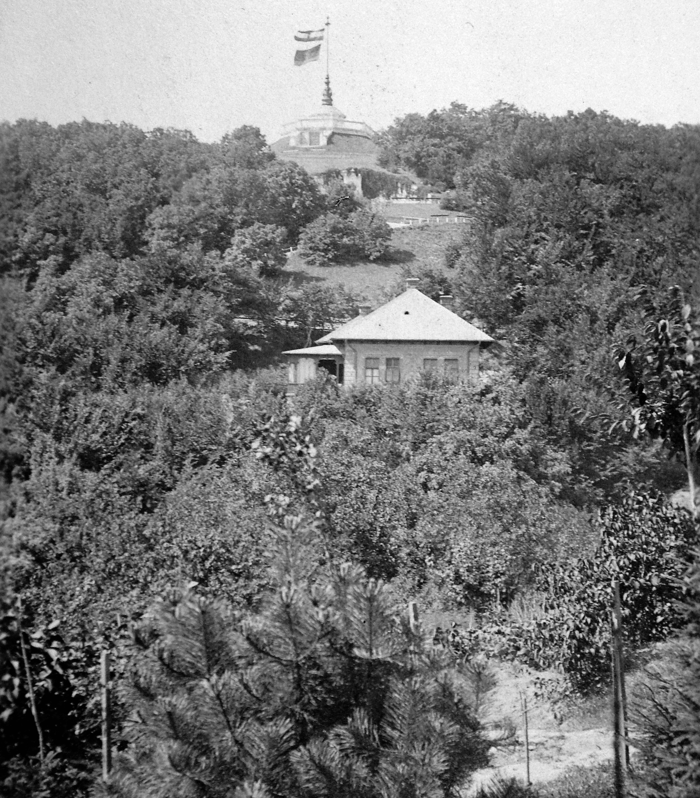 Magyarország, Budapest XII., Svábhegy, Széchenyi kilátó., 1922, Fortepan, erdő, zászló, kilátó, Budapest, Fortepan #7076