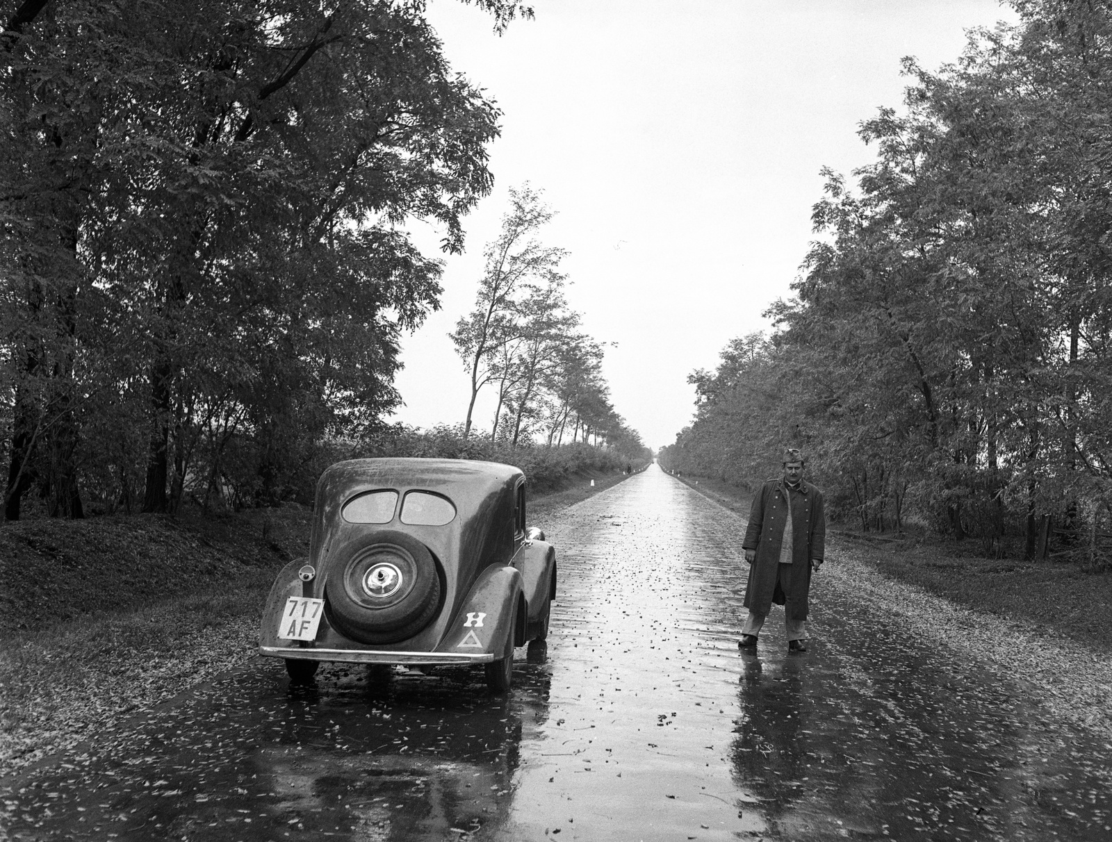 1939, Lissák Tivadar, Steyr-brand, automobile, number plate, country code sign, Fortepan #71271