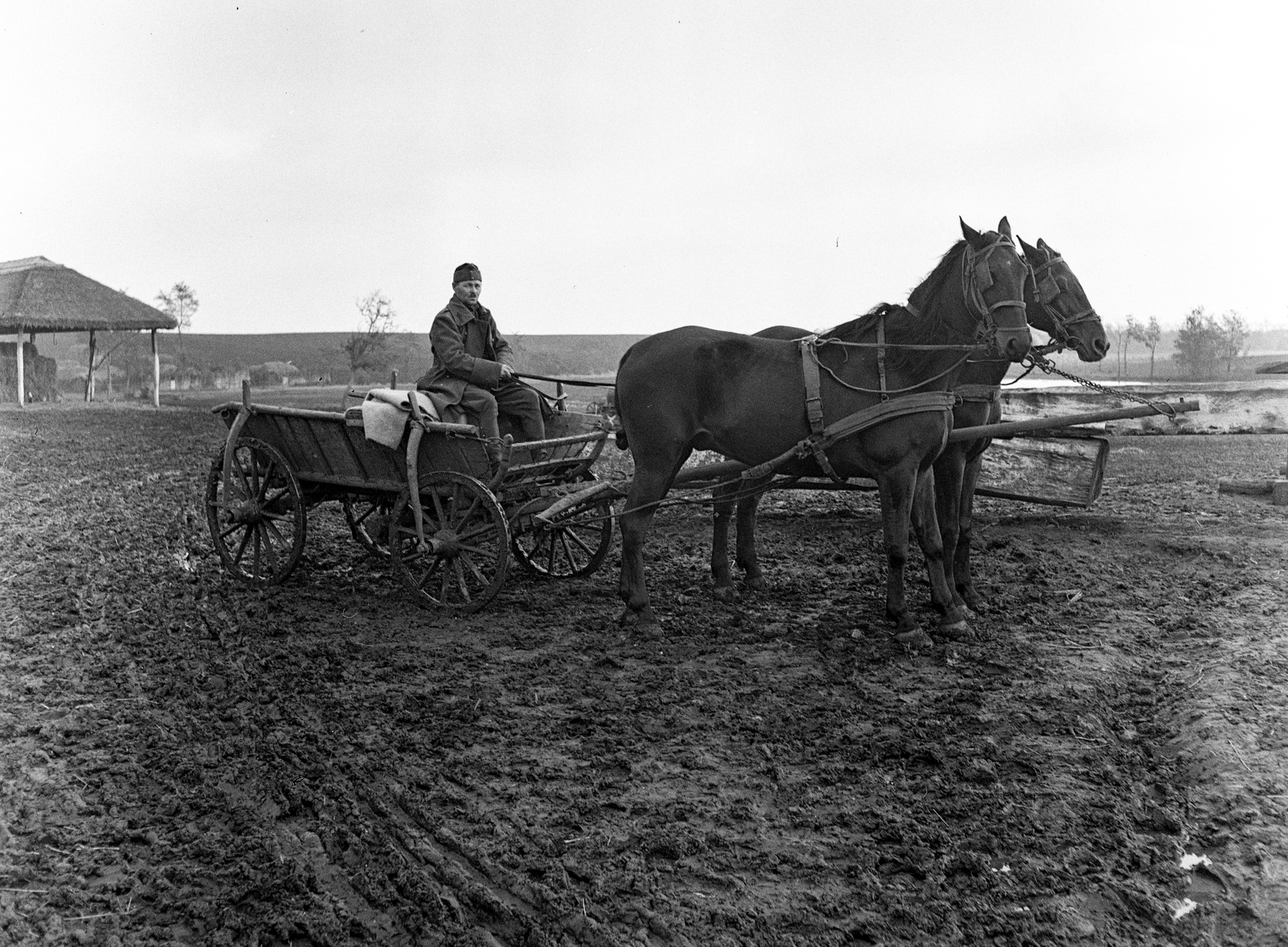 1939, Lissák Tivadar, chariot, Horse-drawn carriage, mud, saddle, Fortepan #71278