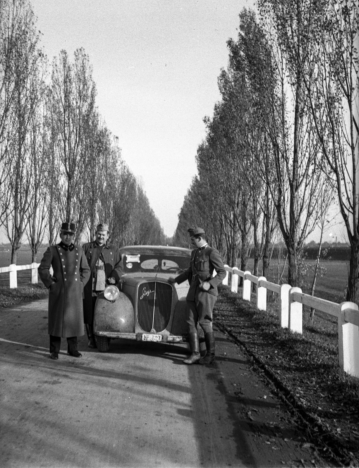 1939, Lissák Tivadar, Steyr-brand, Austrian brand, fir trees, soldier, automobile, Fortepan #71296