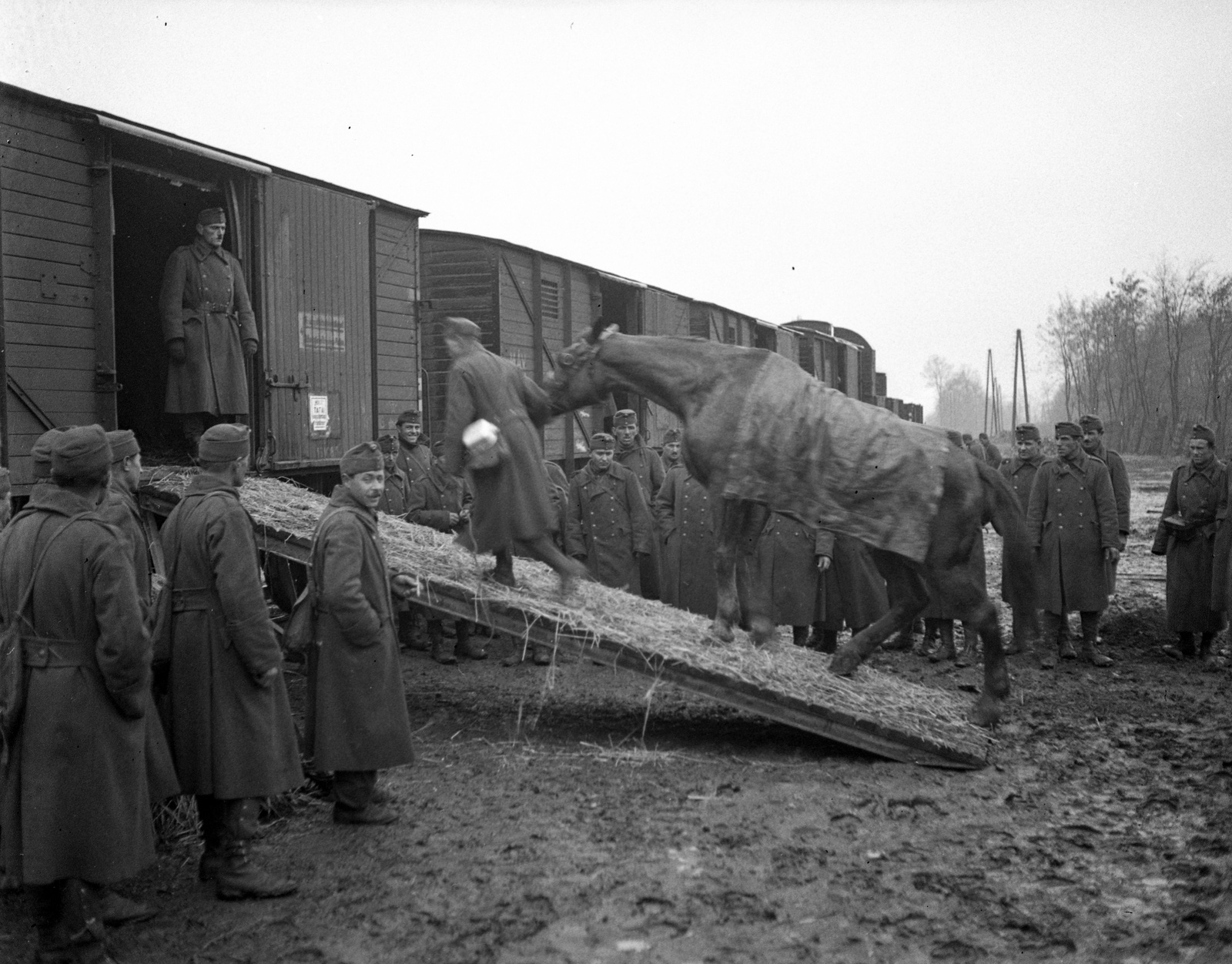 1939, Lissák Tivadar, railway, horse, military, coach, mud, Fortepan #71329
