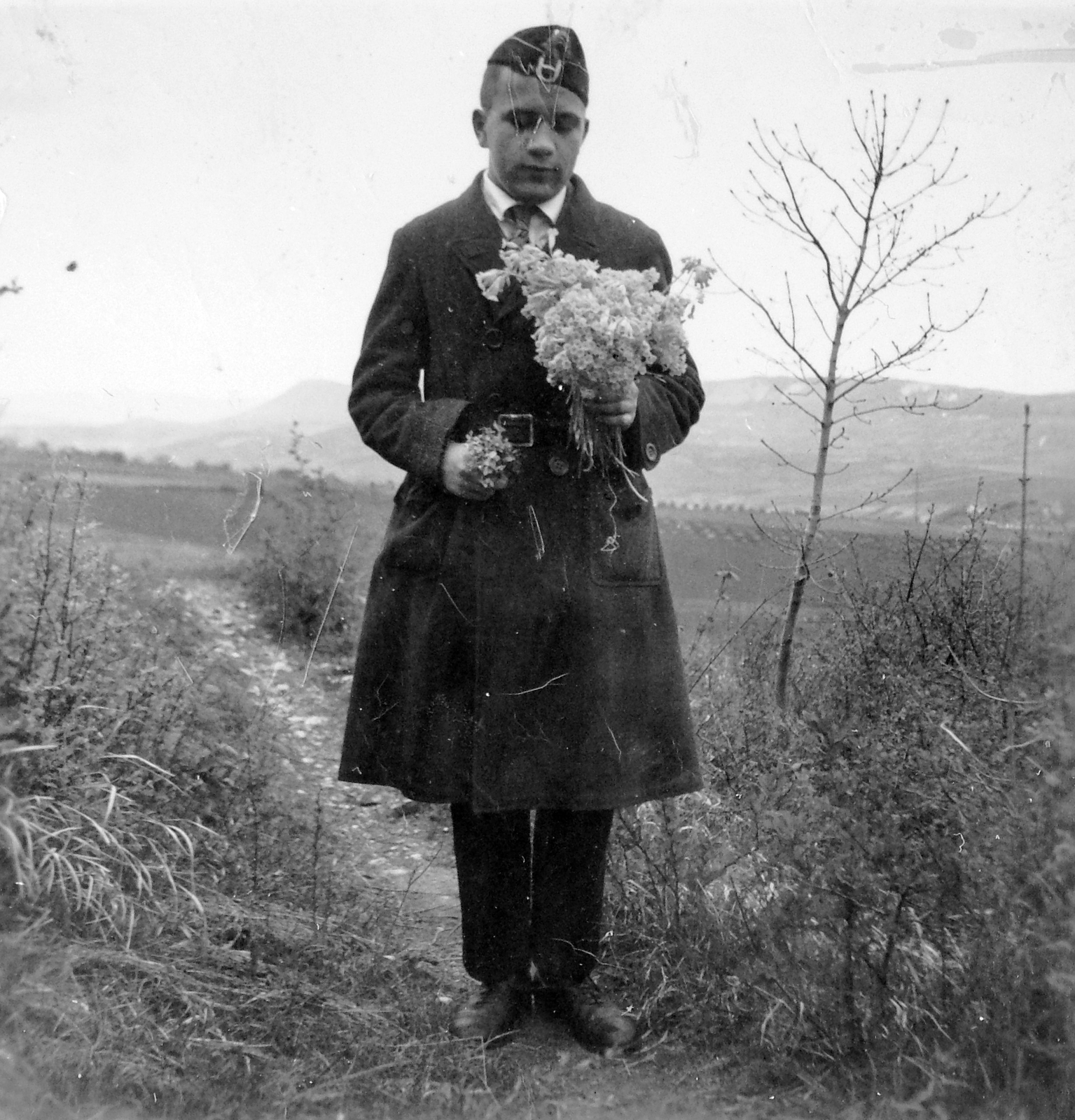 Hungary, Üröm, Péter-hegy. A távolban balról a Kis-Kevély, a Nagy-Kevély (takarva) és az Ezüst-Kevély., 1938, Fortepan, bouquet, Fortepan #7148