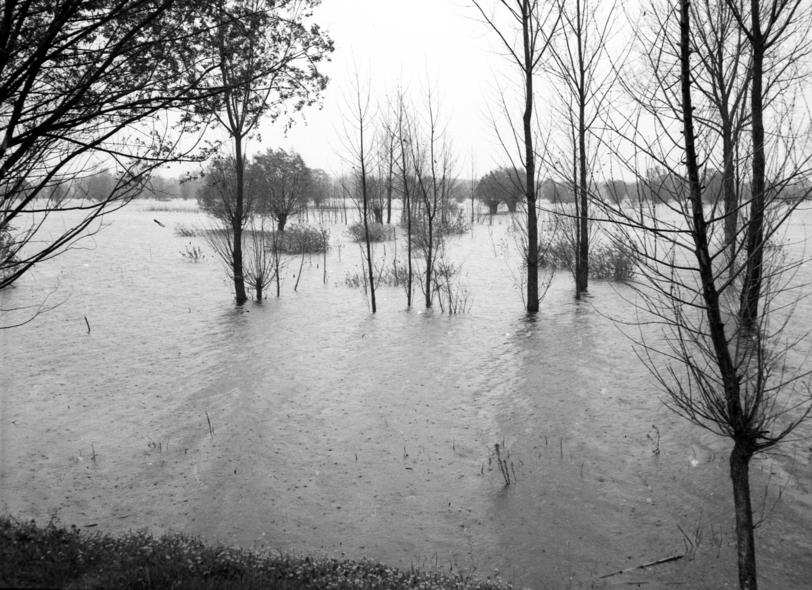 1941, Lissák Tivadar, flood, Fortepan #71557