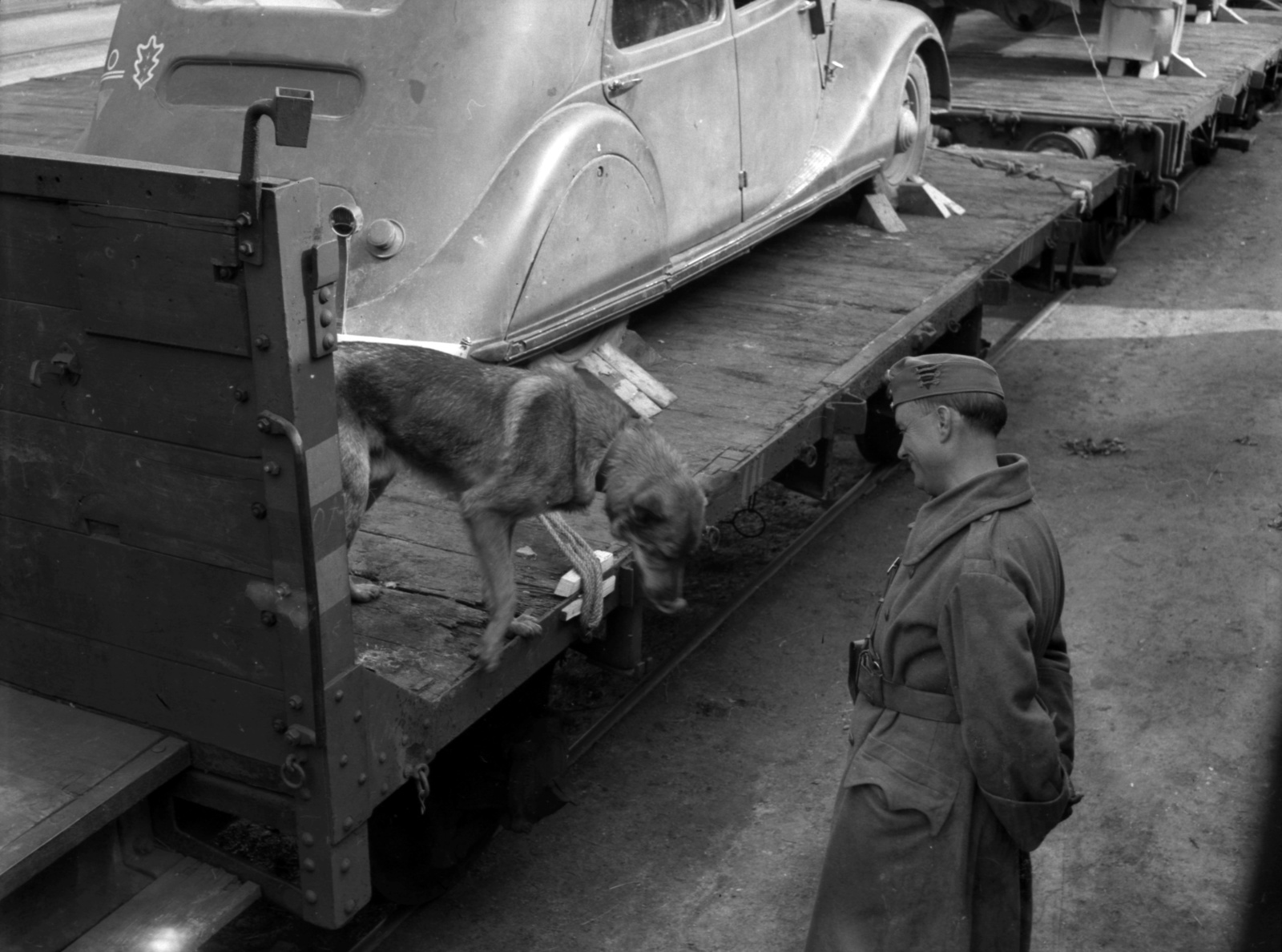 Croatia, Osijek, pályaudvar., 1941, Lissák Tivadar, railway, dog, soldier, automobile, German shepherd, Renault-brand, Fortepan #71603