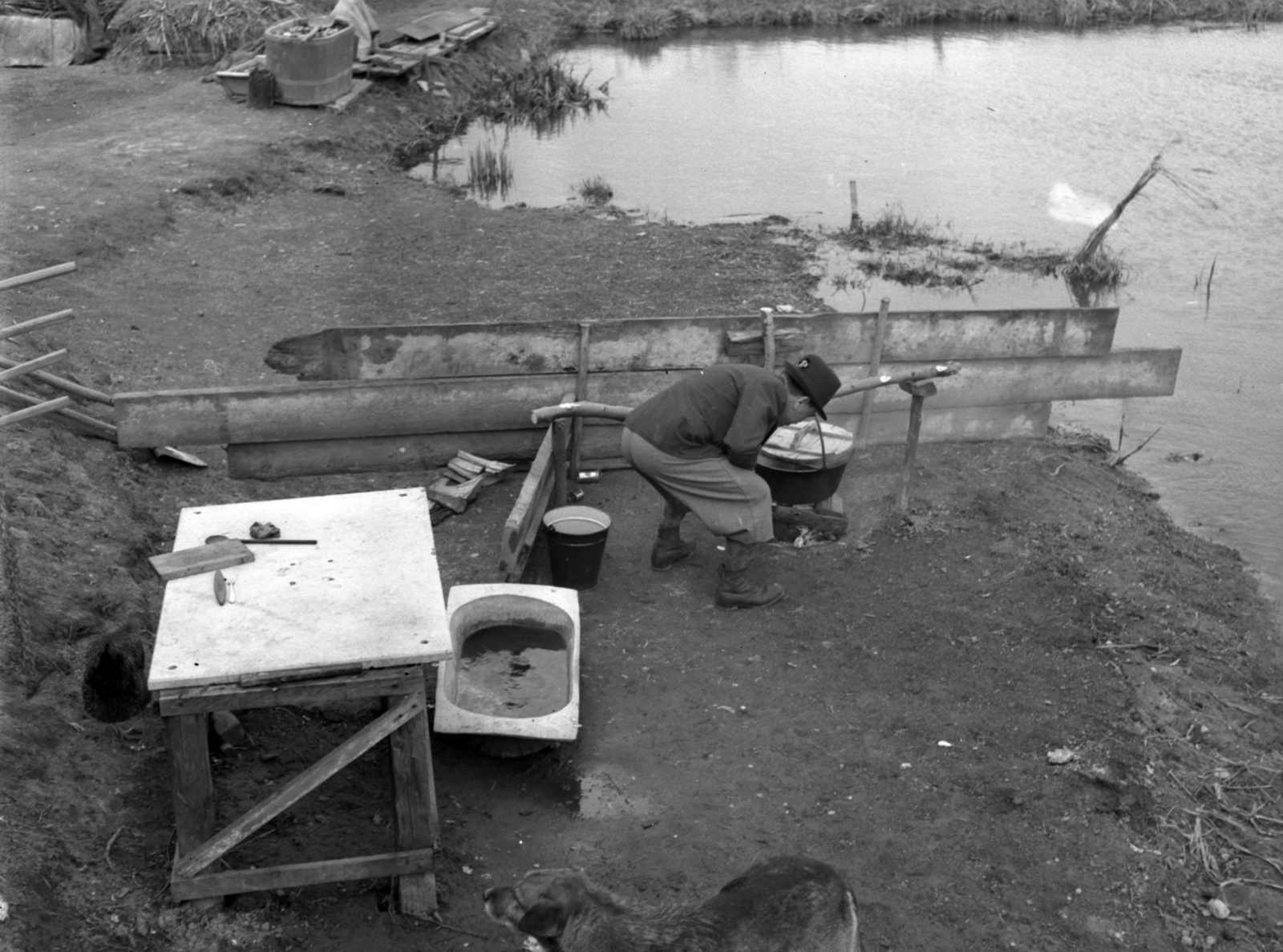 1942, Lissák Tivadar, dog, water surface, man, work, cauldron, bucket, shore, tub, Fortepan #71815