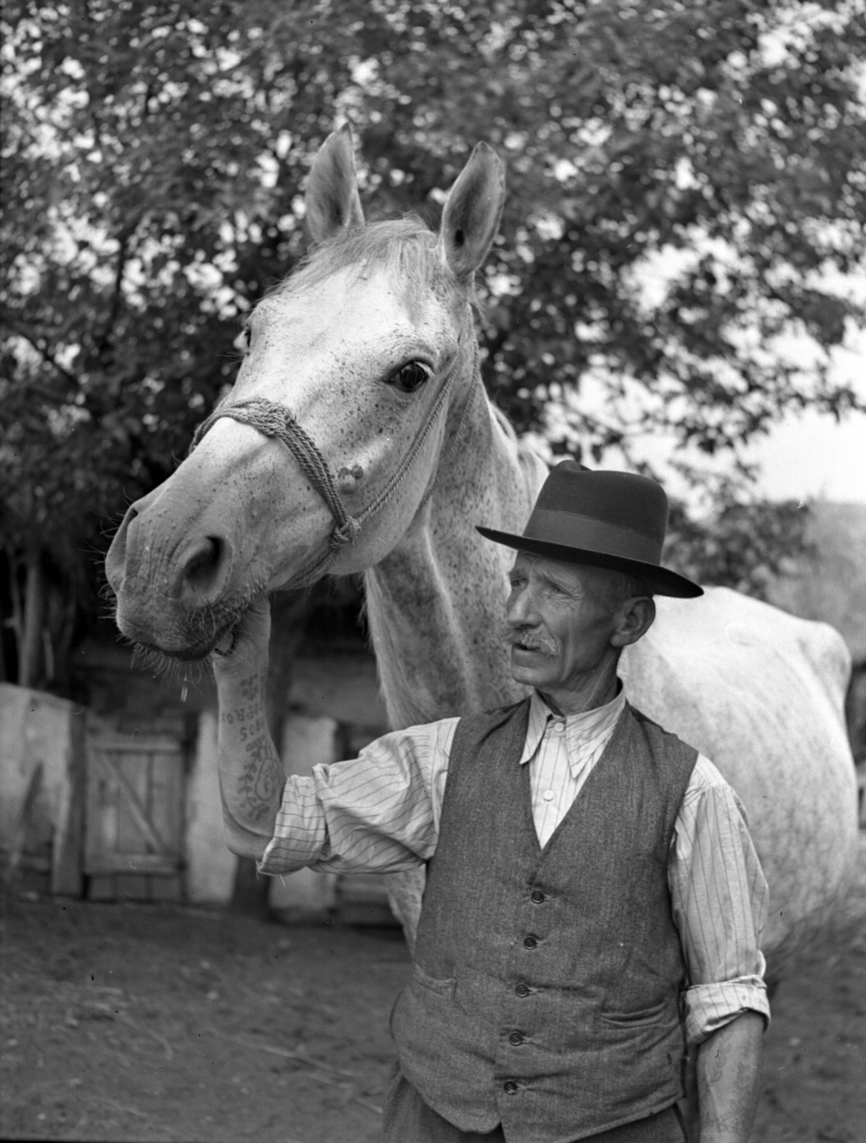 1942, Lissák Tivadar, hat, horse, moustache, tattoo, Best of, Fortepan #71845