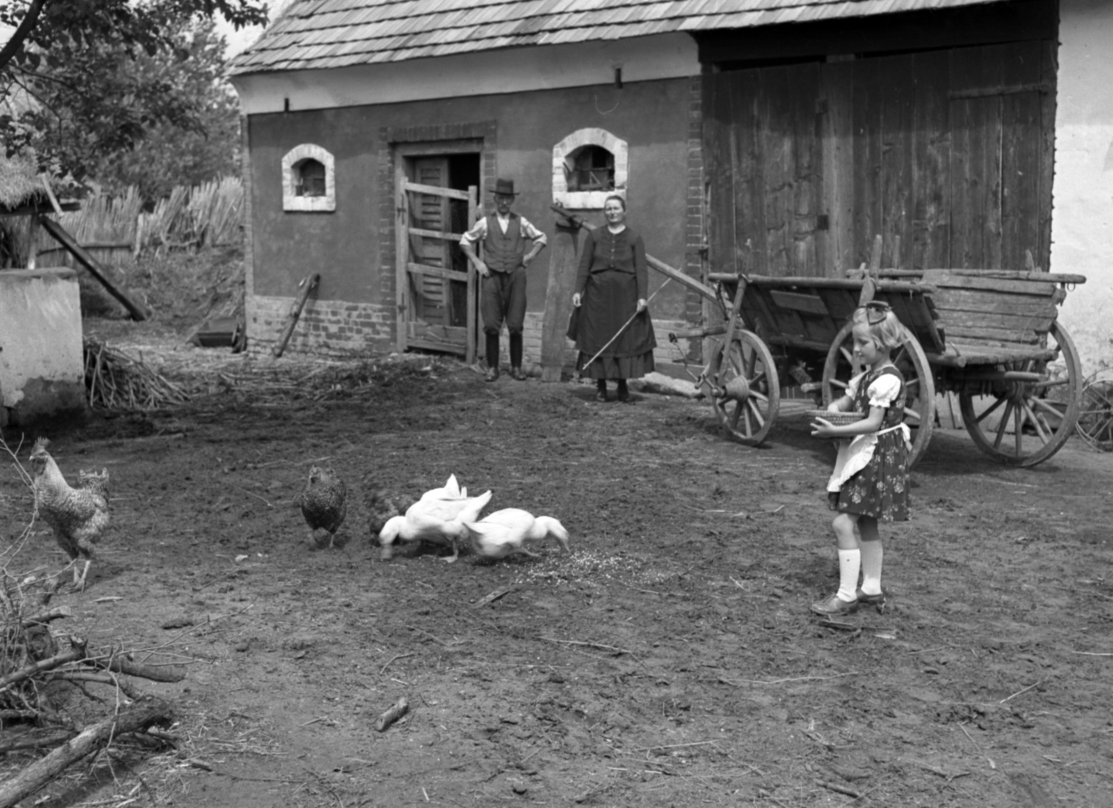 1942, Lissák Tivadar, goose, chariot, girl, poultry, ribbon, apron, Fortepan #71847