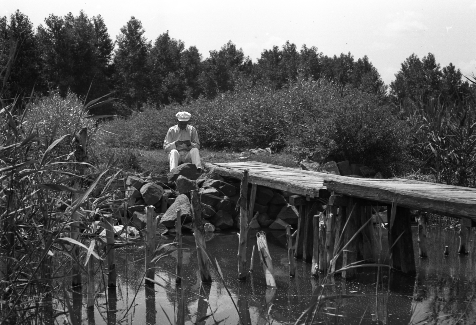 Hungary, Balatonmáriafürdő, Balaton-part., 1942, Lissák Tivadar, pier, reed, Fortepan #71855