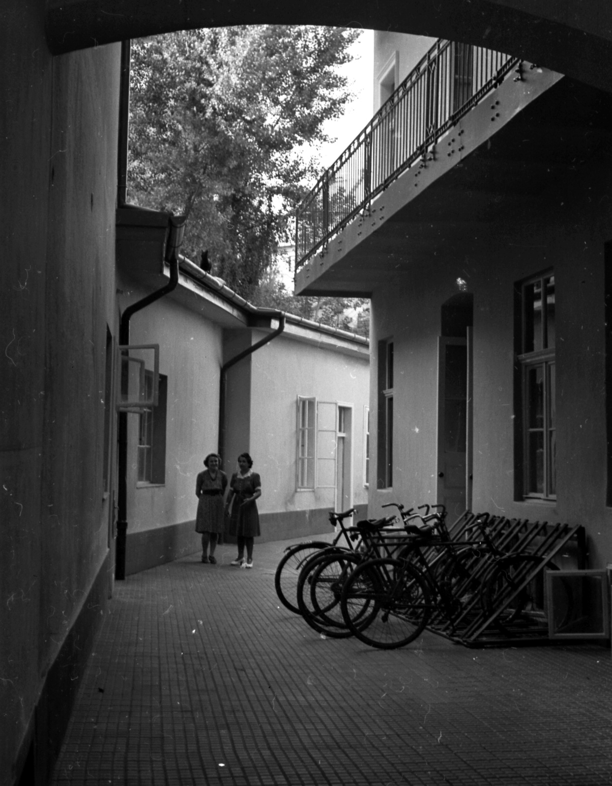 Hungary, Budapest II., Retek utca 27. számú ház udvara., 1942, Lissák Tivadar, bicycle, yard, Budapest, bicycle holder, Fortepan #71862