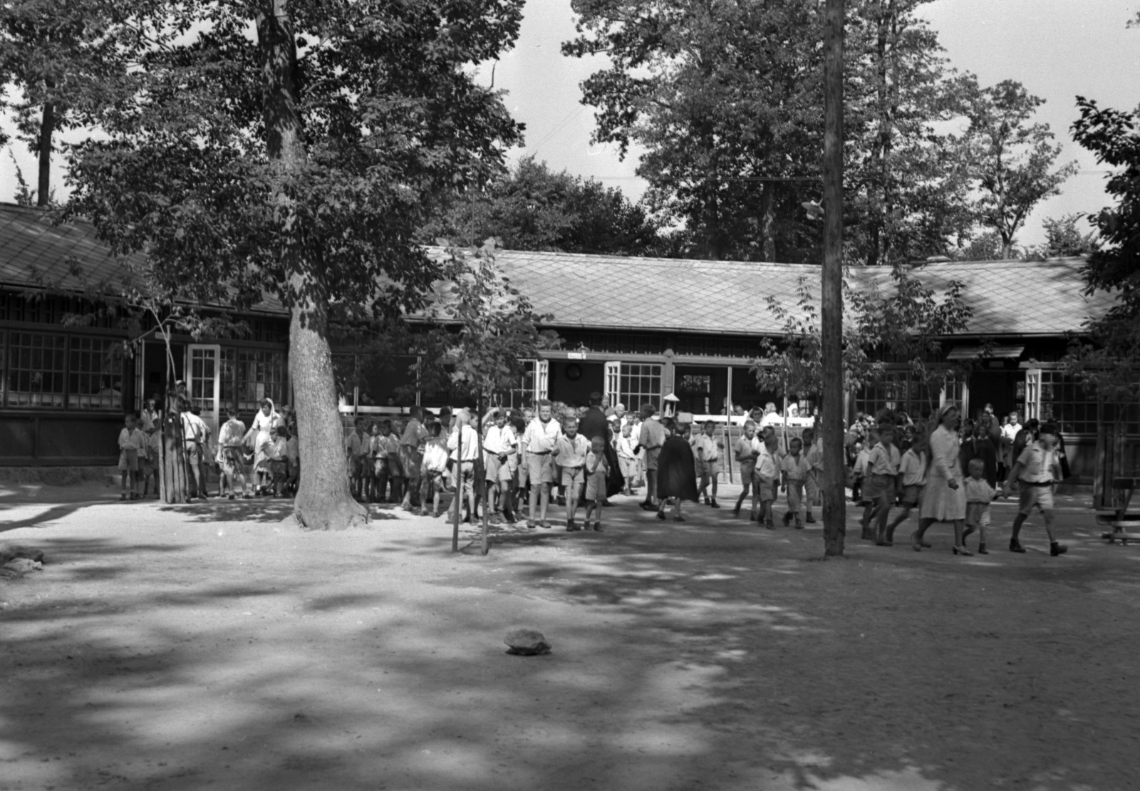 Hungary, Farkasgyepű, Frigyes főherceg üdülőtelep és erdei iskola (később a Veszprém Megyei Tüdőgyógyintézet szanatóriuma)., 1942, Lissák Tivadar, forest school, Fortepan #71879