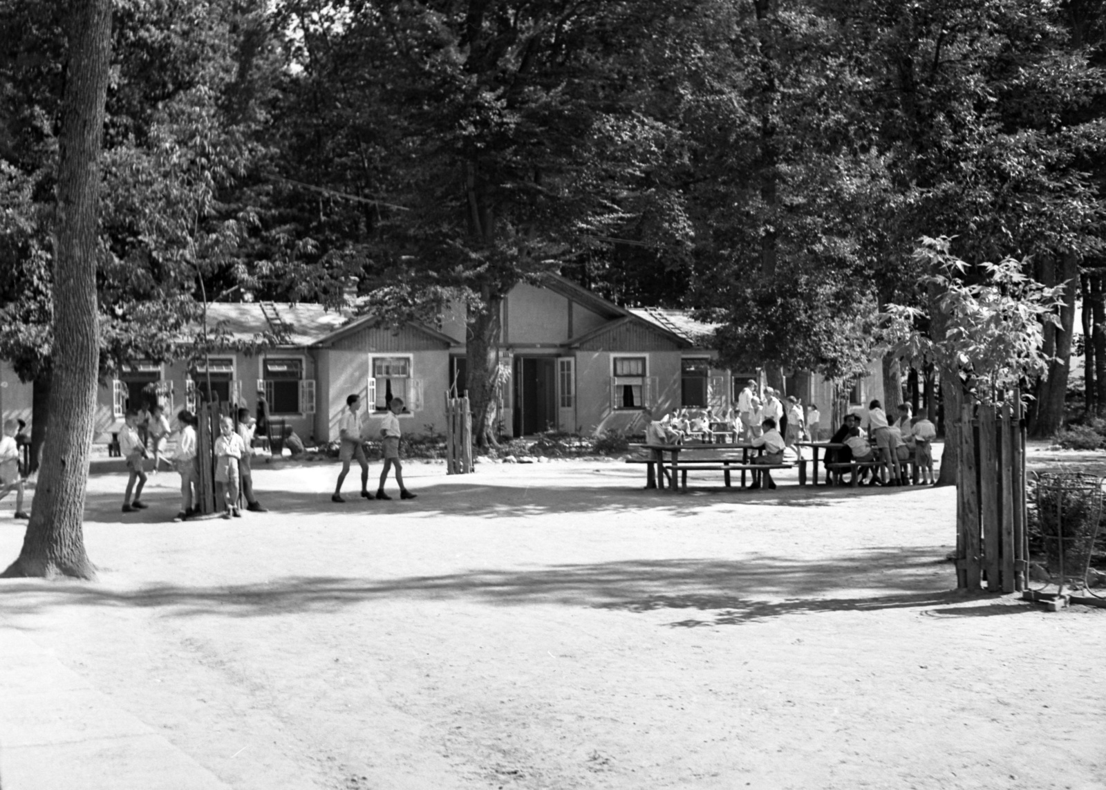 Hungary, Farkasgyepű, Frigyes főherceg üdülőtelep és erdei iskola (később a Veszprém Megyei Tüdőgyógyintézet szanatóriuma)., 1942, Lissák Tivadar, forest school, Fortepan #71881