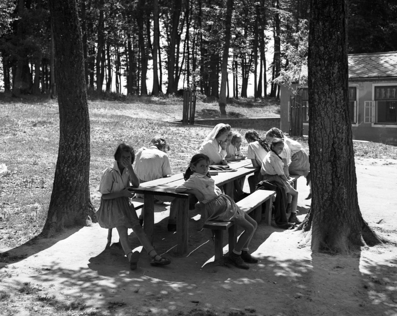 Hungary, Farkasgyepű, Frigyes főherceg üdülőtelep és erdei iskola (később a Veszprém Megyei Tüdőgyógyintézet szanatóriuma)., 1942, Lissák Tivadar, tableau, nurse, forest school, Fortepan #71896