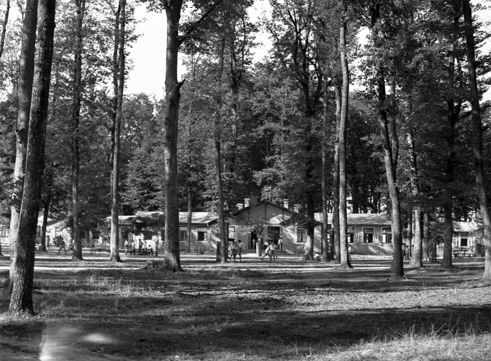 Hungary, Farkasgyepű, Frigyes főherceg üdülőtelep és erdei iskola (később a Veszprém Megyei Tüdőgyógyintézet szanatóriuma)., 1942, Lissák Tivadar, forest school, Fortepan #71905