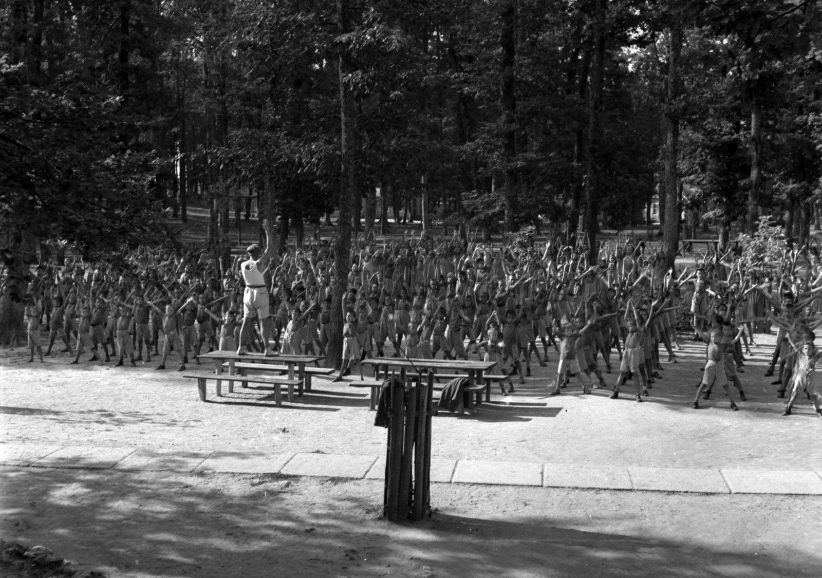 Hungary, Farkasgyepű, Frigyes főherceg üdülőtelep és erdei iskola (később a Veszprém Megyei Tüdőgyógyintézet szanatóriuma)., 1942, Lissák Tivadar, tableau, exercise, forest school, spreading, Fortepan #71910