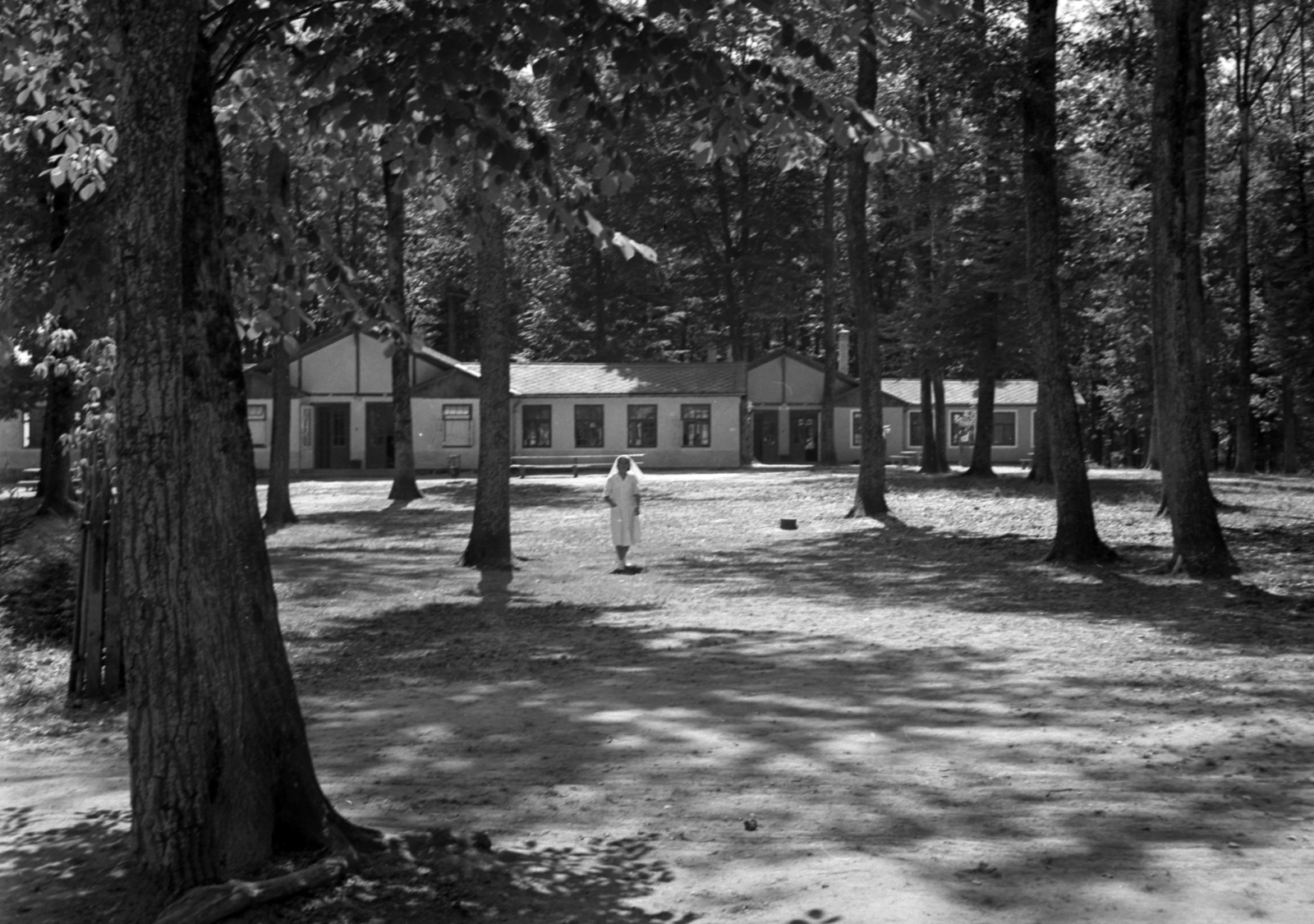Hungary, Farkasgyepű, Frigyes főherceg üdülőtelep és erdei iskola (később a Veszprém Megyei Tüdőgyógyintézet szanatóriuma)., 1942, Lissák Tivadar, nurse, forest school, Fortepan #71917