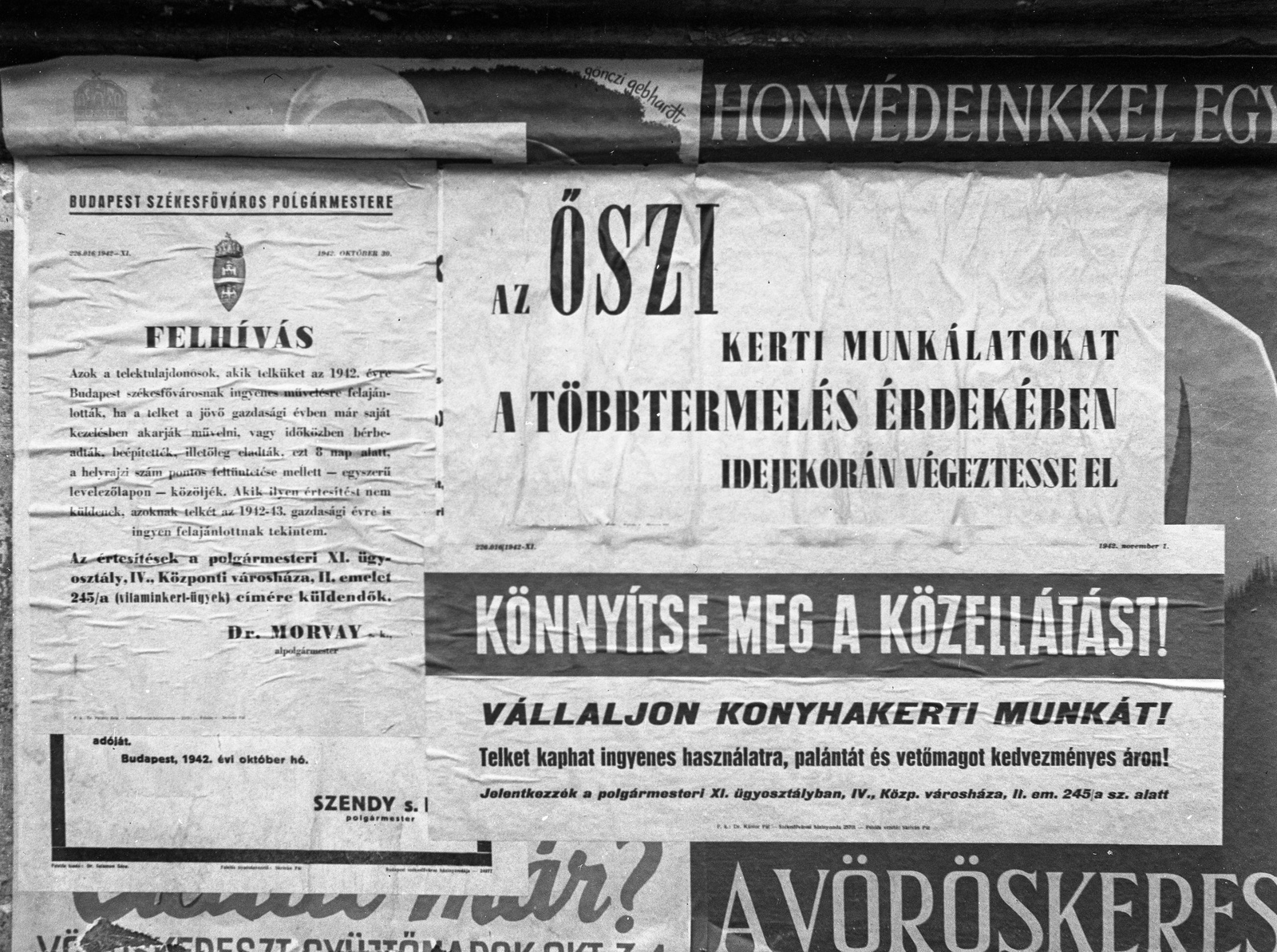 Hungary, Budapest, 1942, Lissák Tivadar, poster, announcement, horticulture, Fortepan #71989