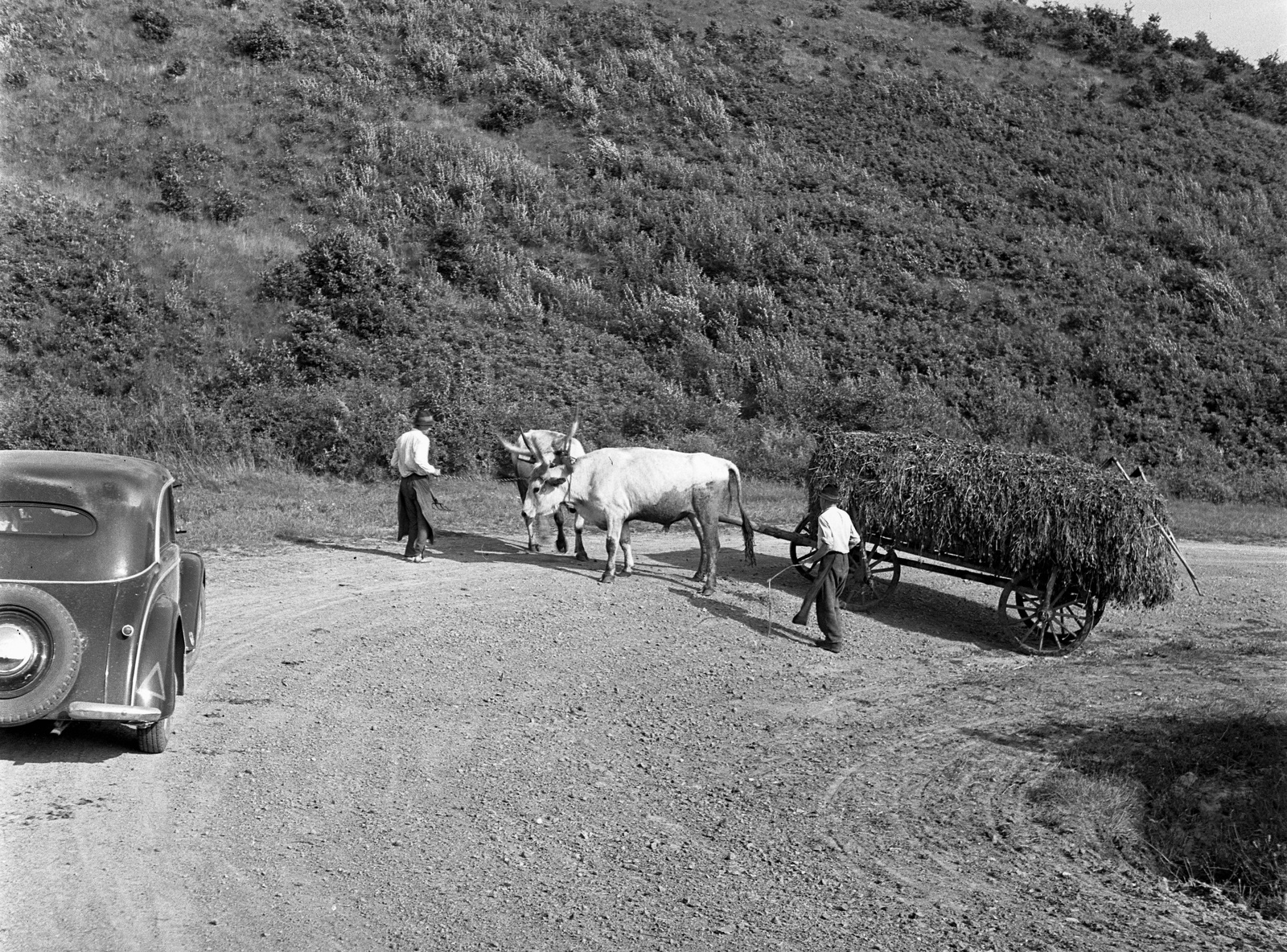 1943, Lissák Tivadar, German brand, chariot, DKW-brand, cattle, coach, automobile, Fortepan #72236